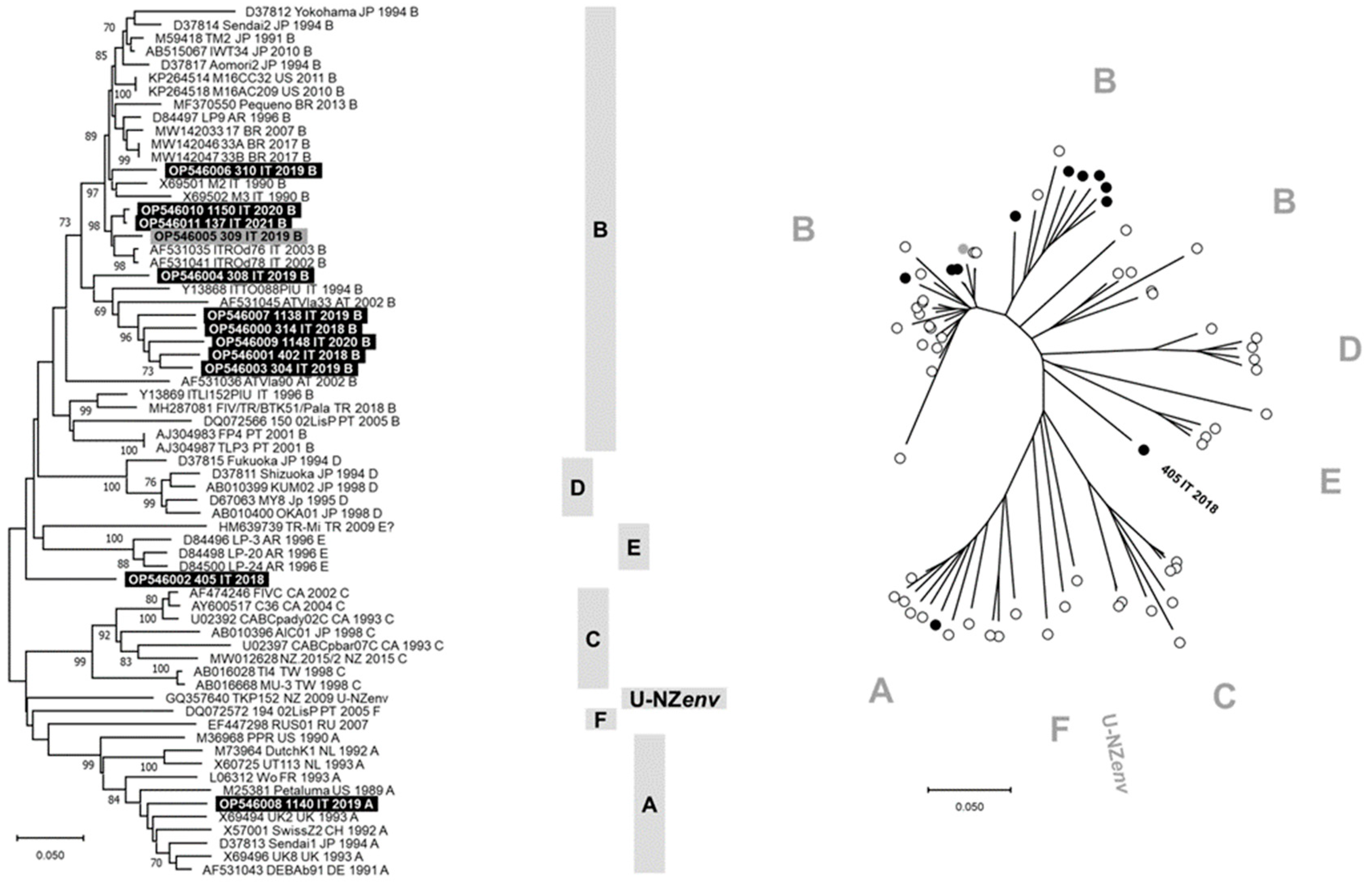 Pathogens 13 00463 g001