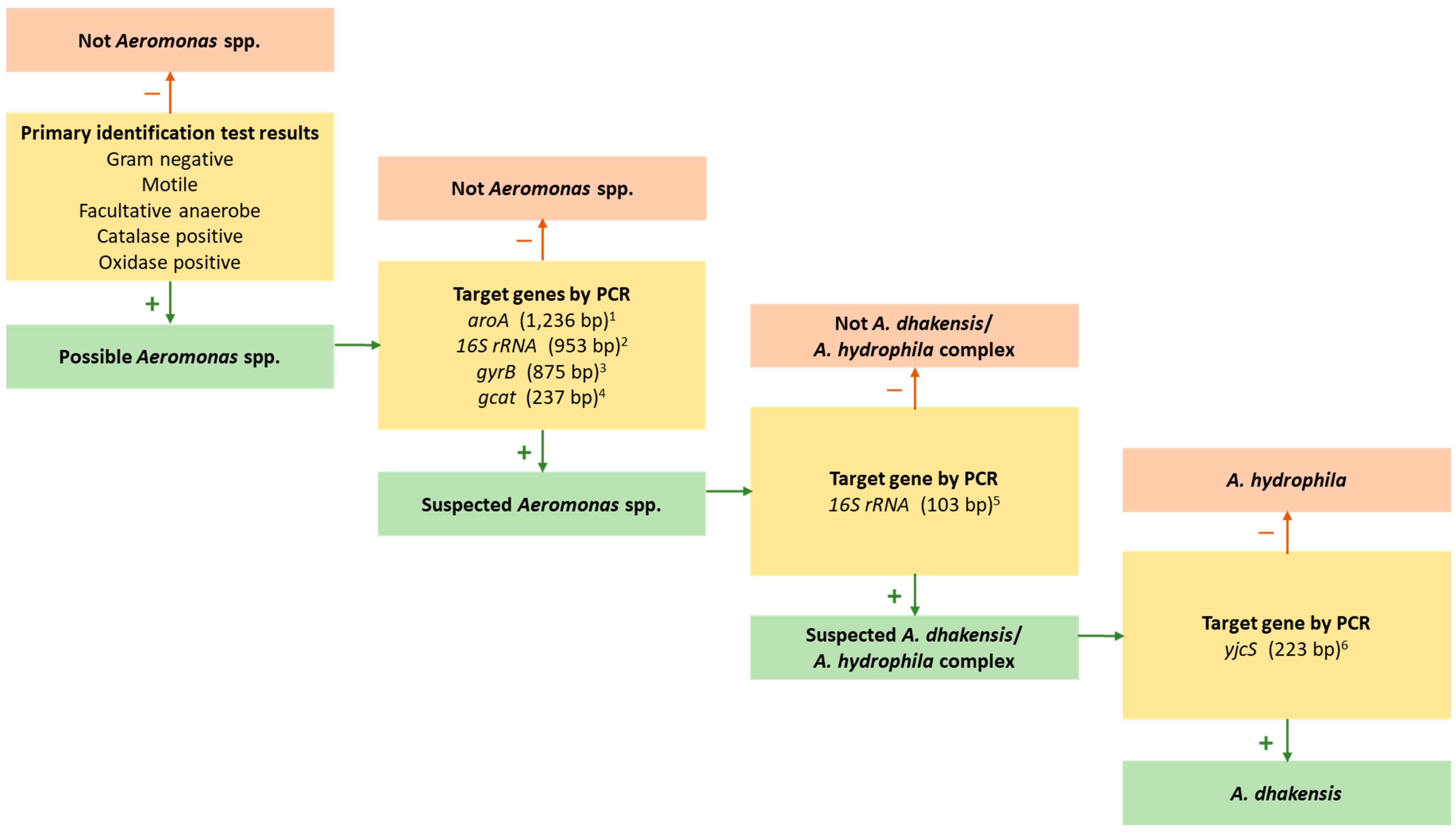 Pathogens 13 00465 g002