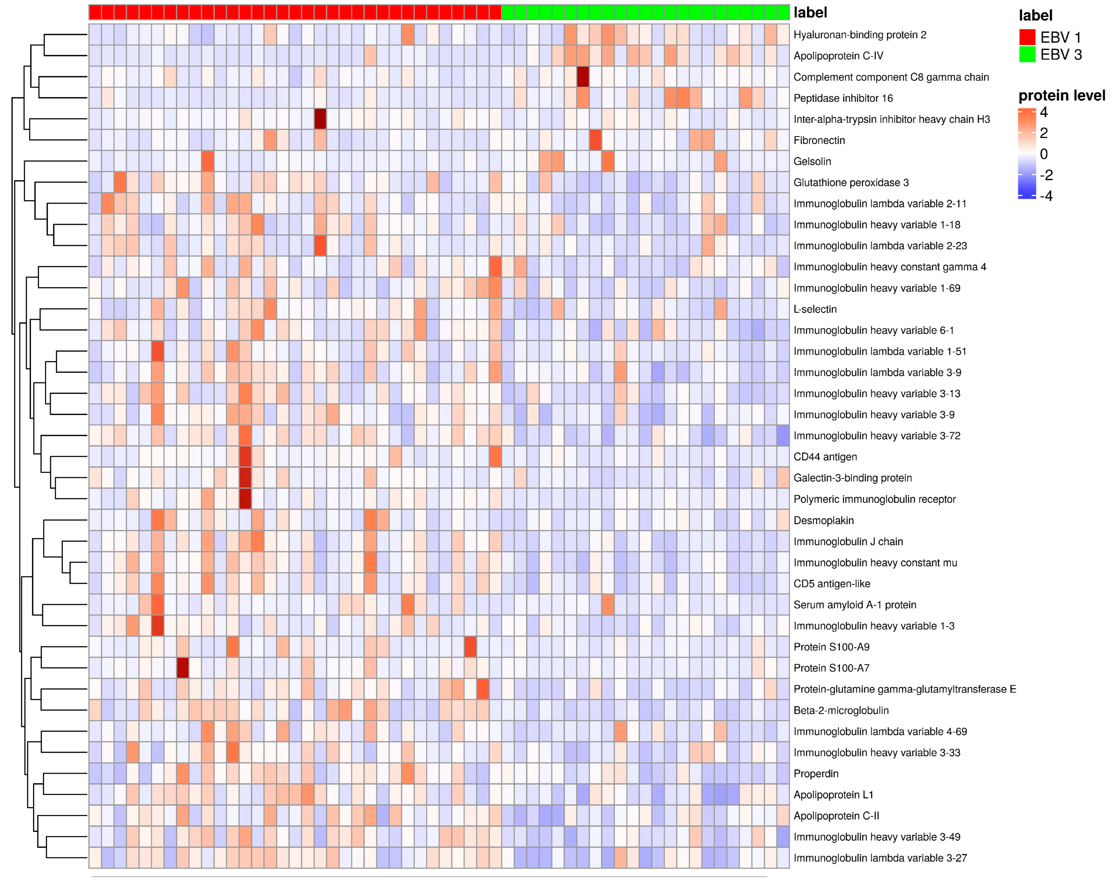 Pathogens 13 00471 g004