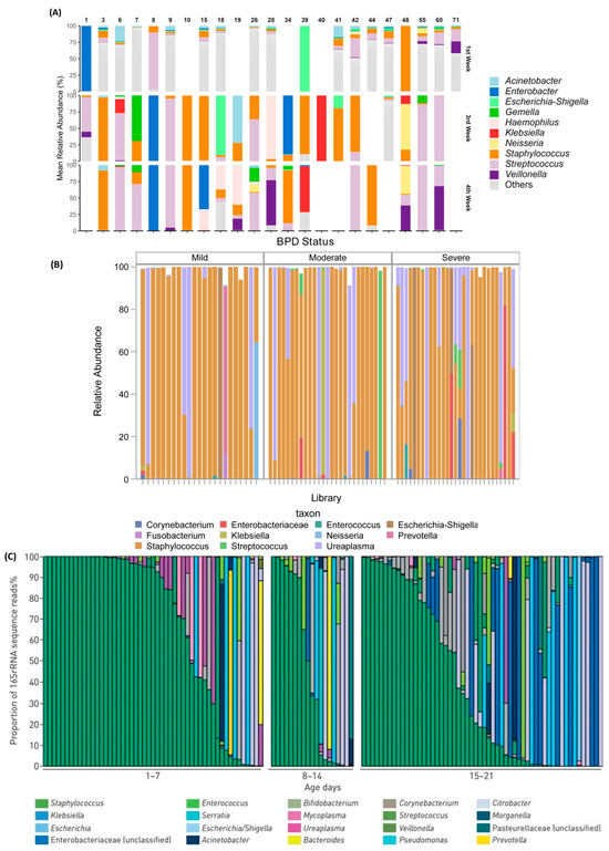 Pathogens 13 00472 g002