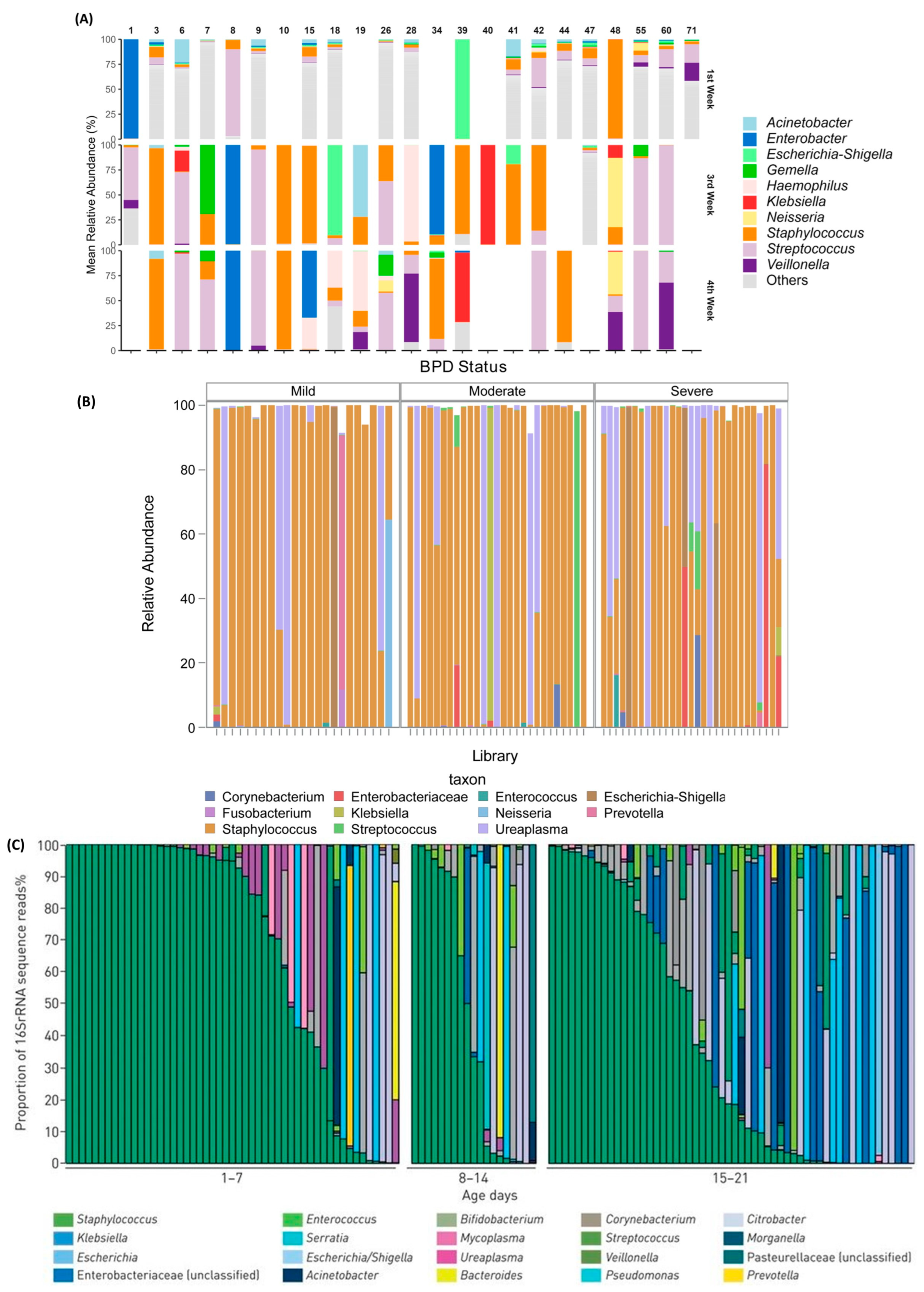 Pathogens 13 00472 g002
