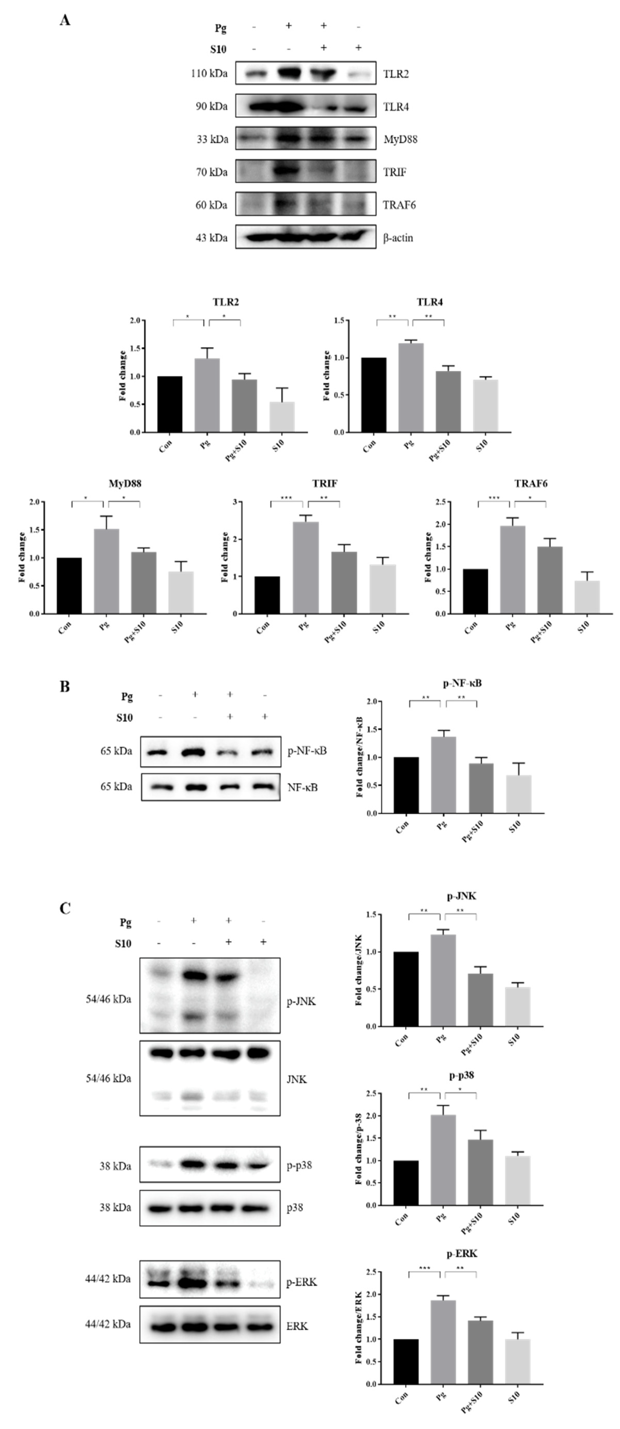 Pathogens 13 00474 g003