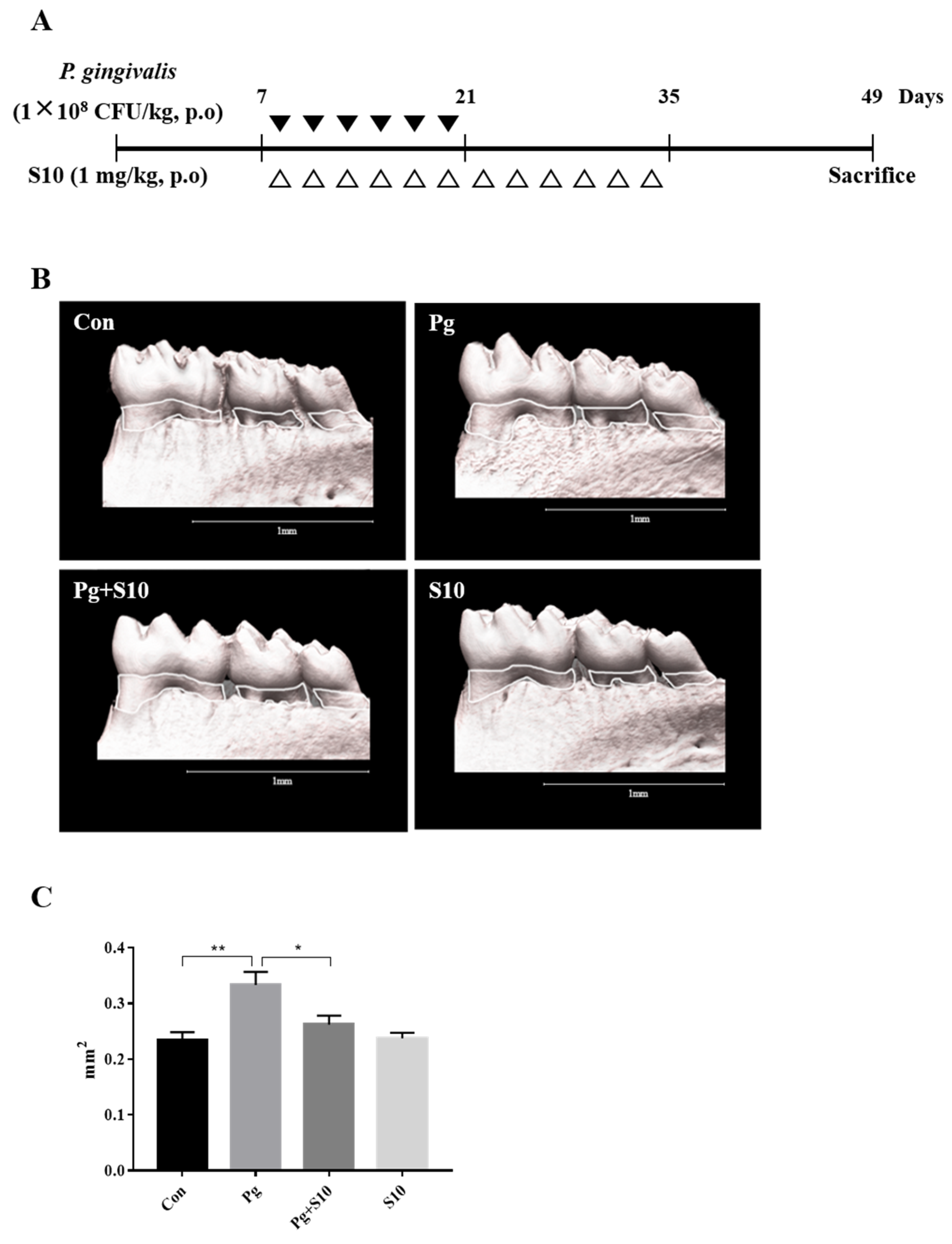 Pathogens 13 00474 g004