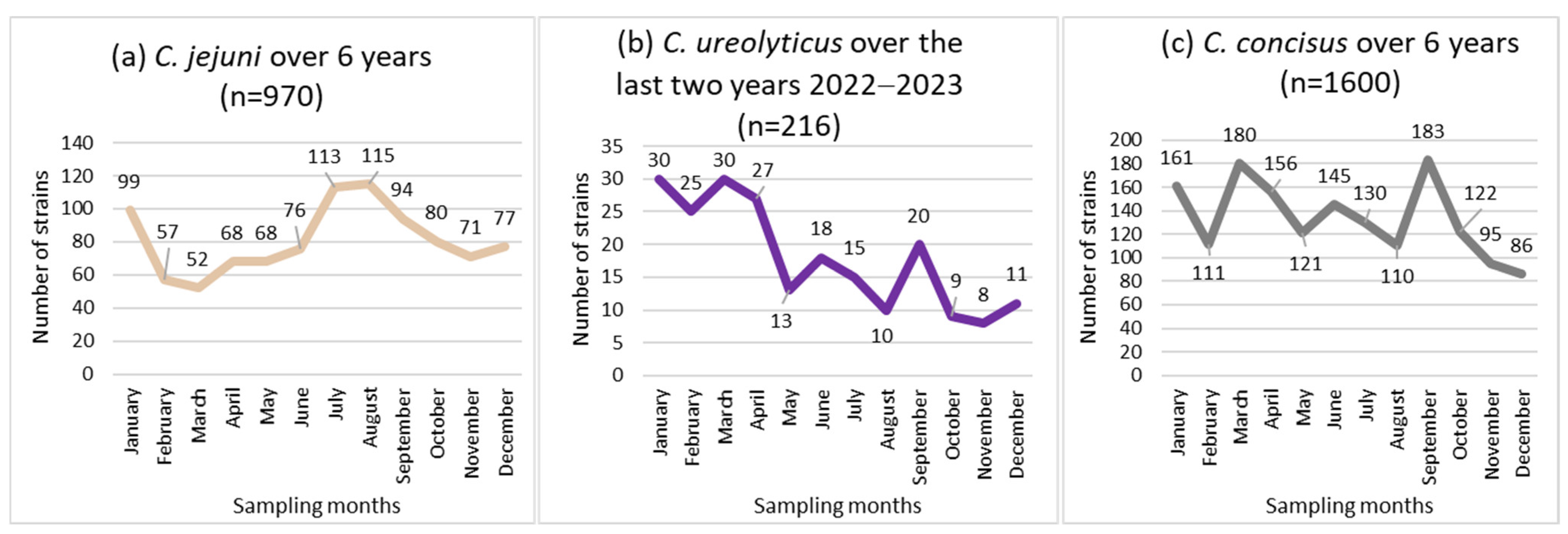 Pathogens 13 00475 g002