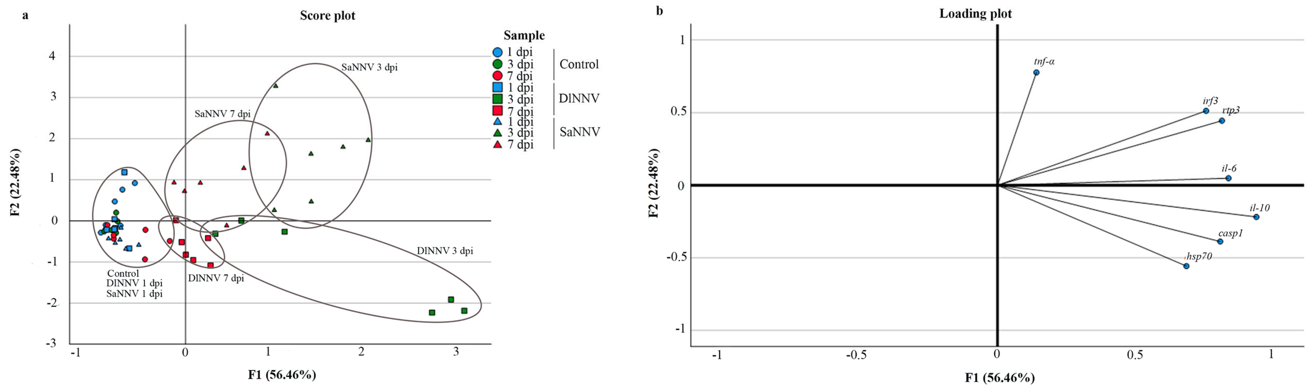 Pathogens 13 00478 g005