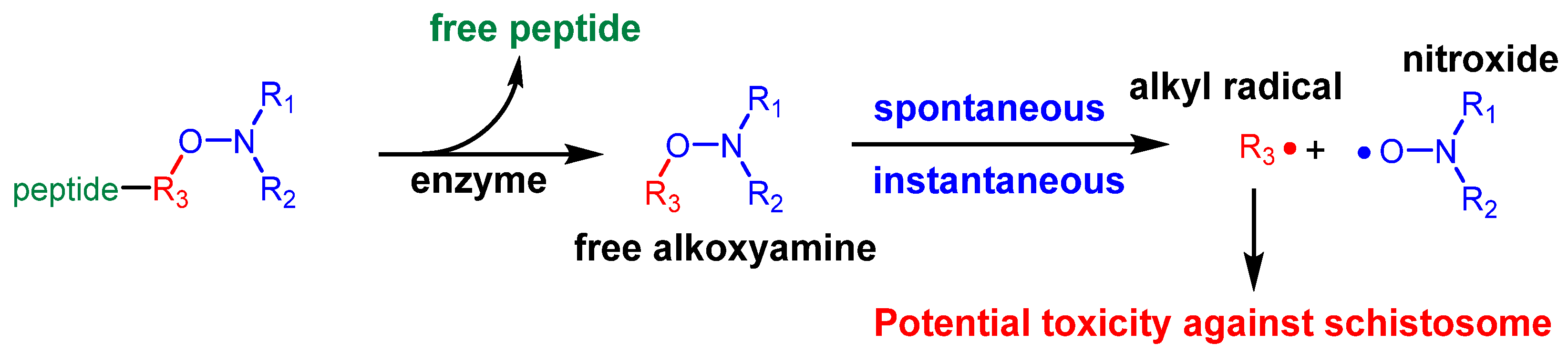 Pathogens 13 00482 sch001