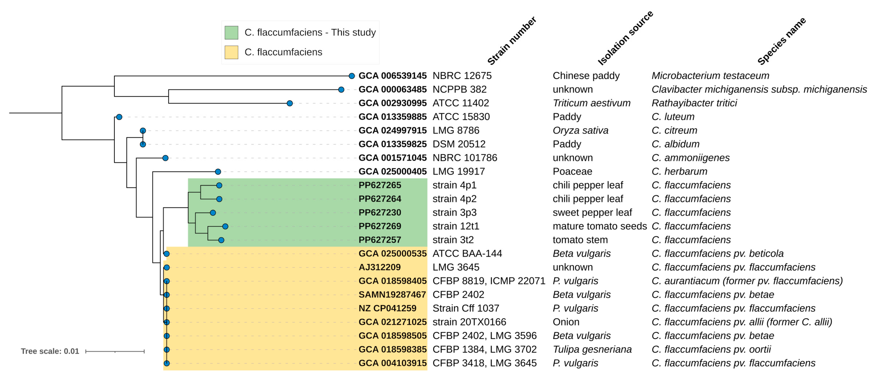 Pathogens 13 00483 g003 Pathogens 13 00483 g003
