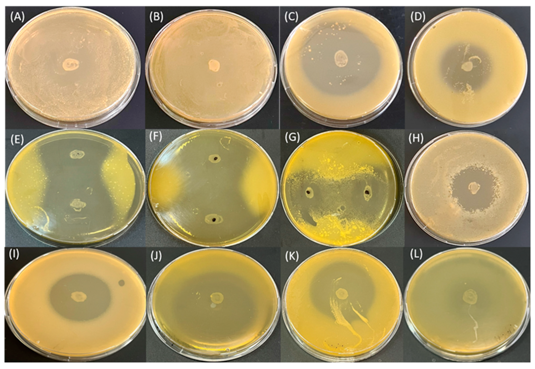 Pathogens 13 00483 g004 Pathogens 13 00483 g004