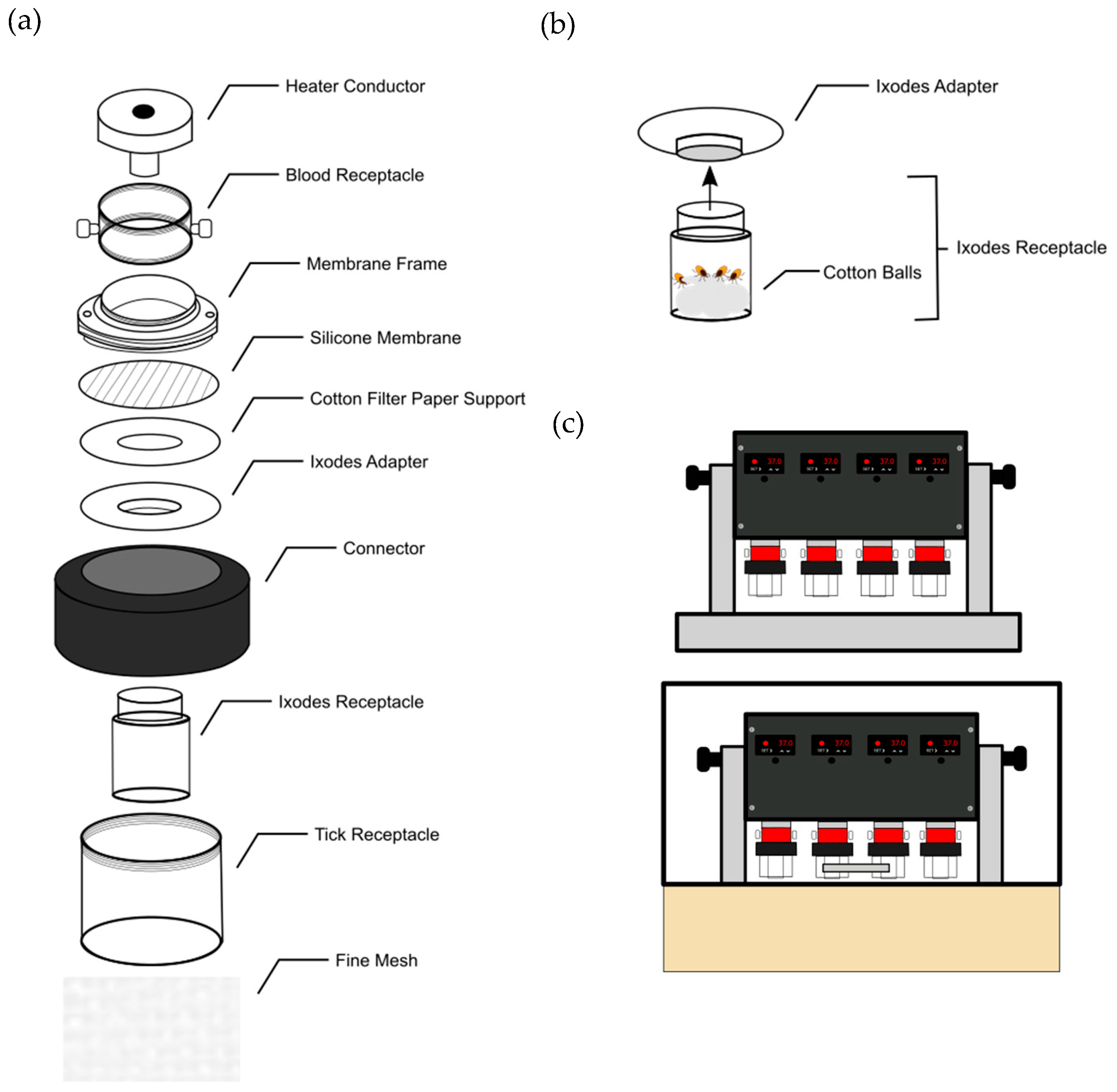 Pathogens 13 00487 g001
