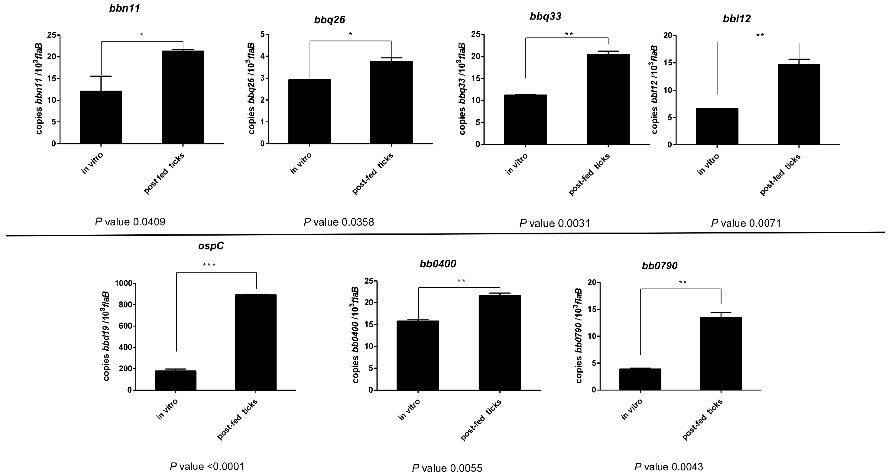 Pathogens 13 00487 g004