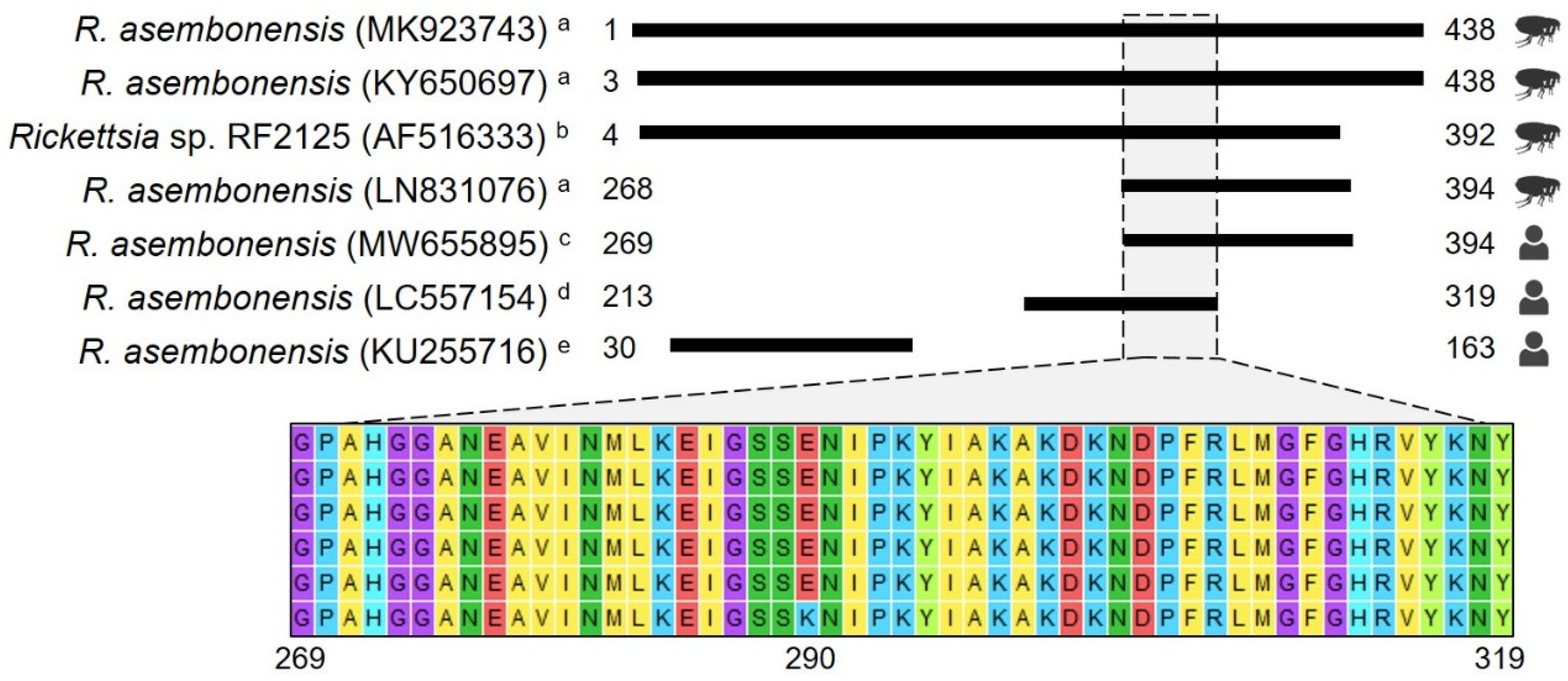 Pathogens 13 00489 g003