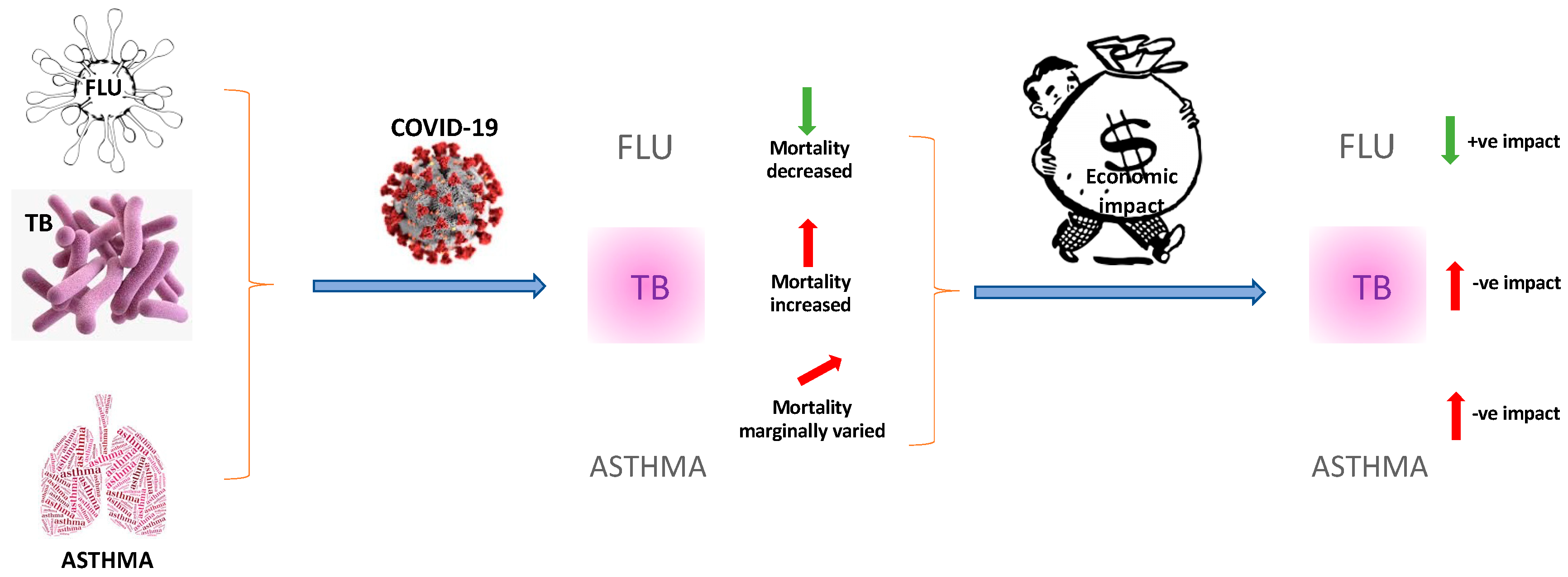 Pathogens 13 00491 g002