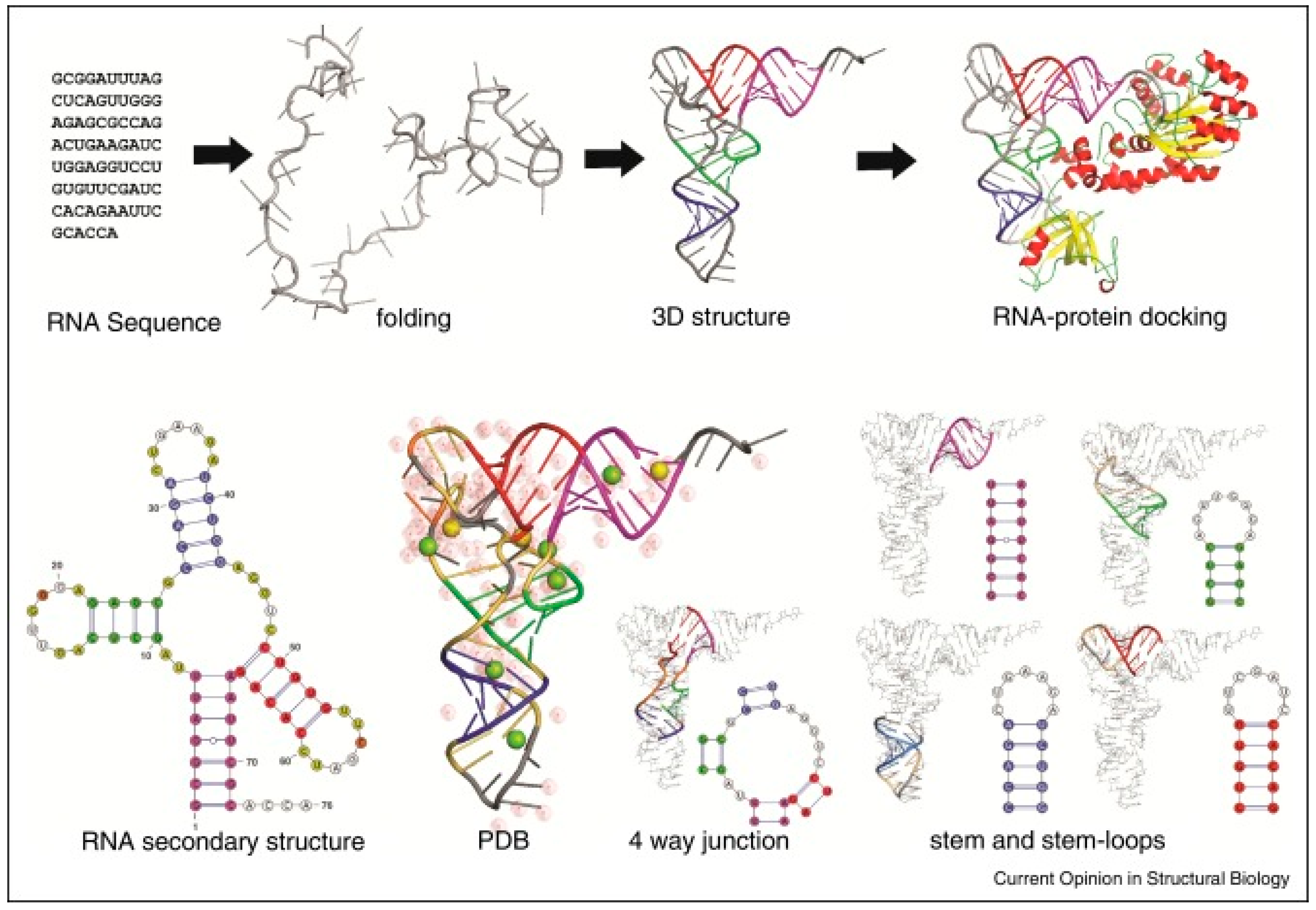 Pathogens 13 00500 g001
