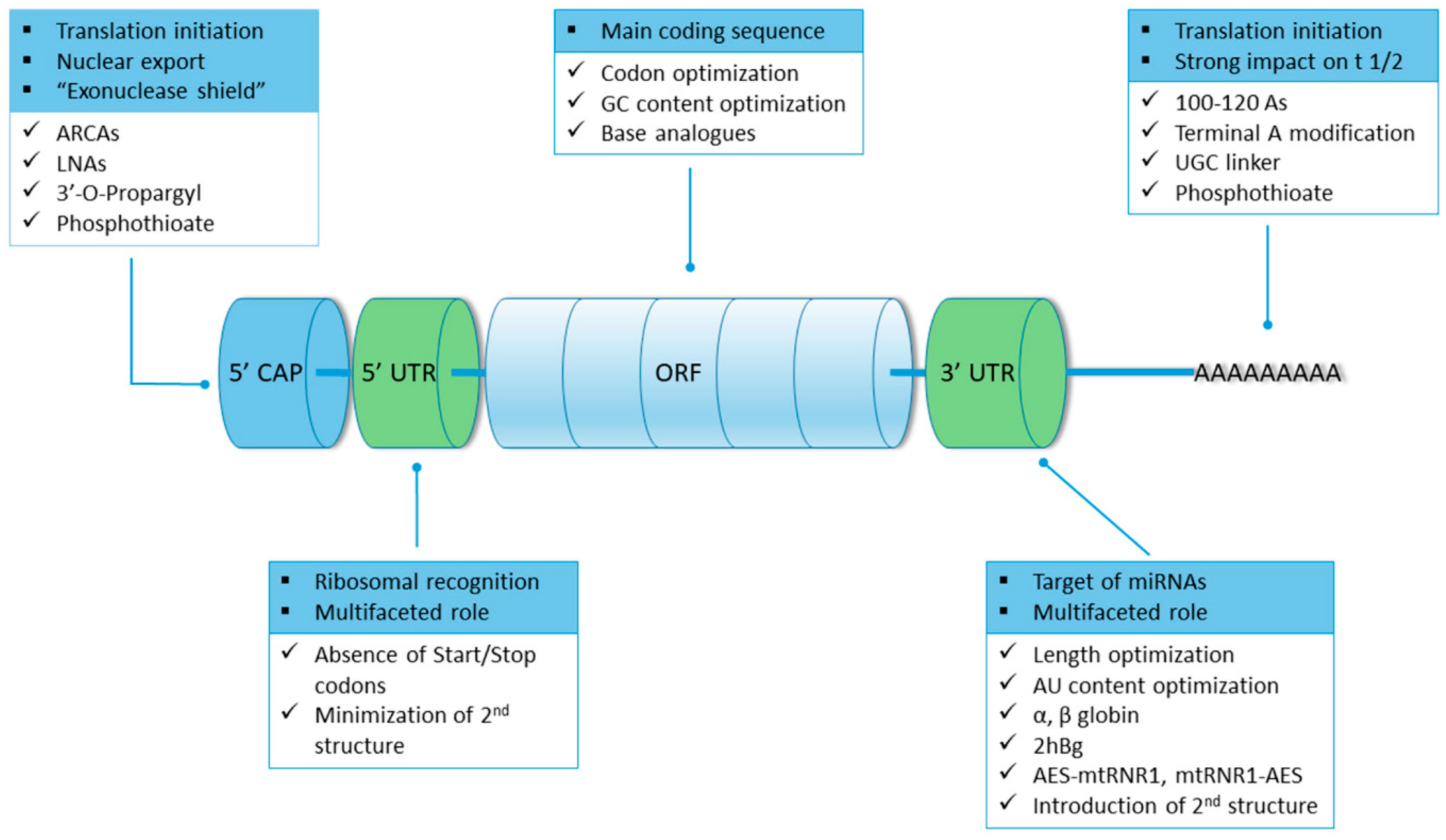 Pathogens 13 00500 g005