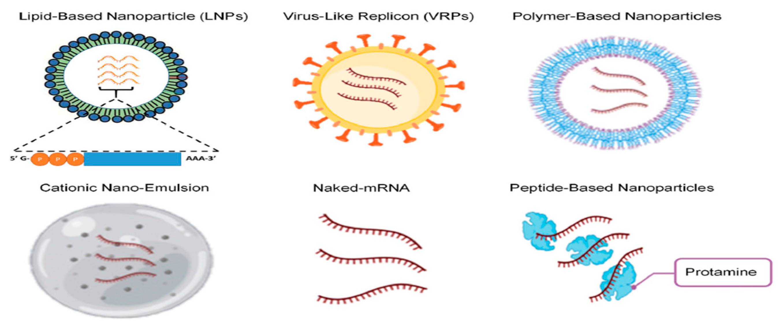 Pathogens 13 00500 g010