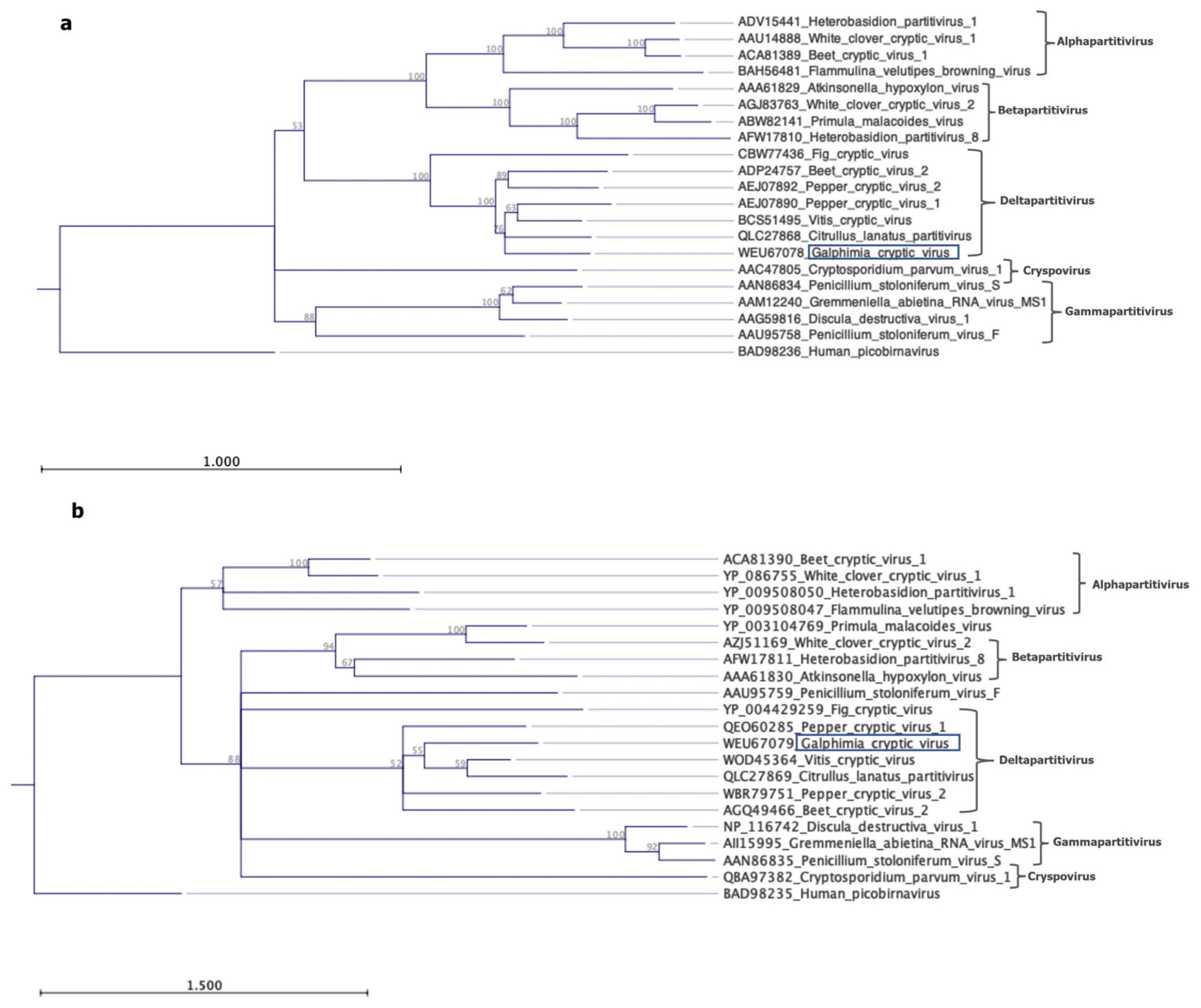 Pathogens 13 00504 g003