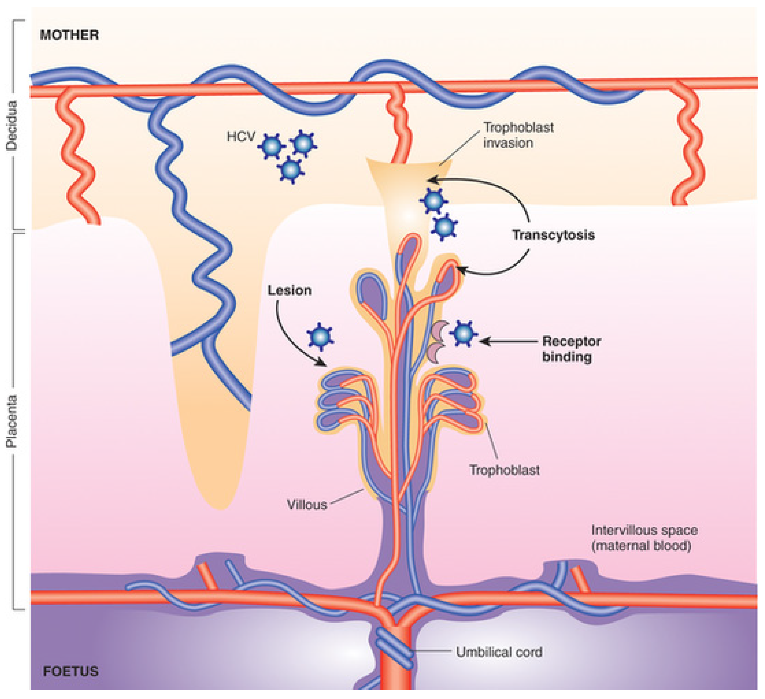 Pathogens 13 00508 g001