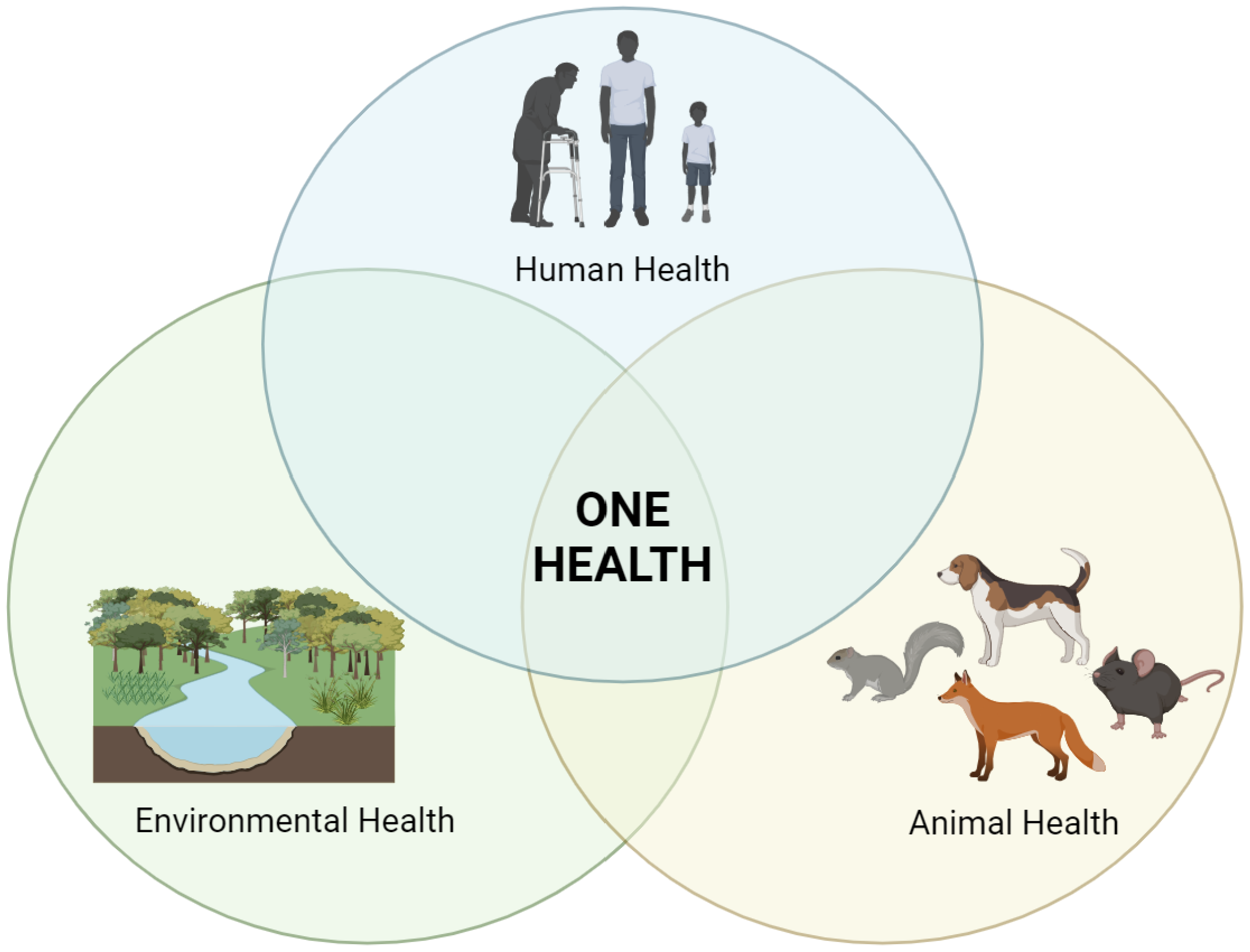 Pathogens 13 00512 g003