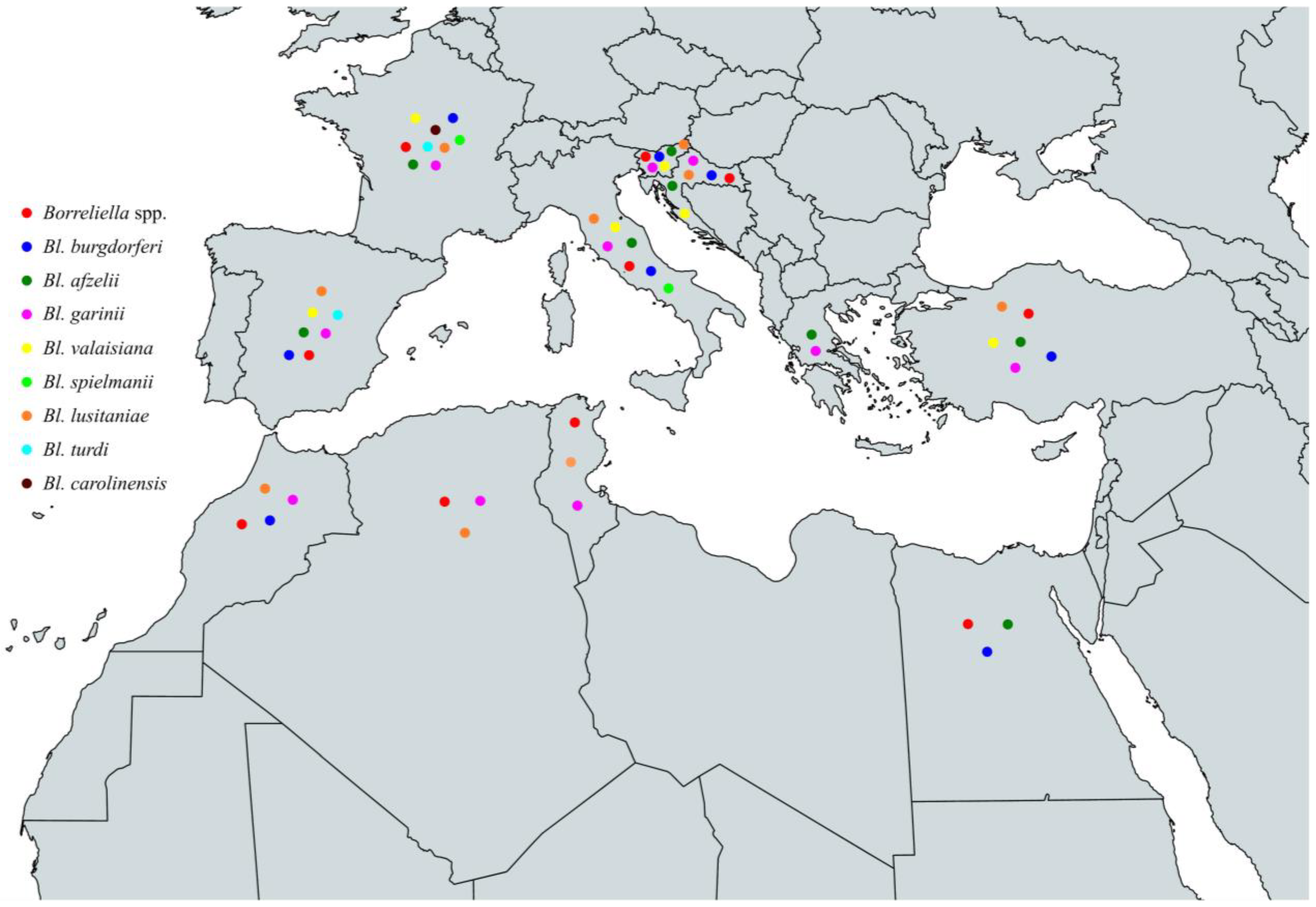 Pathogens 13 00512 g005
