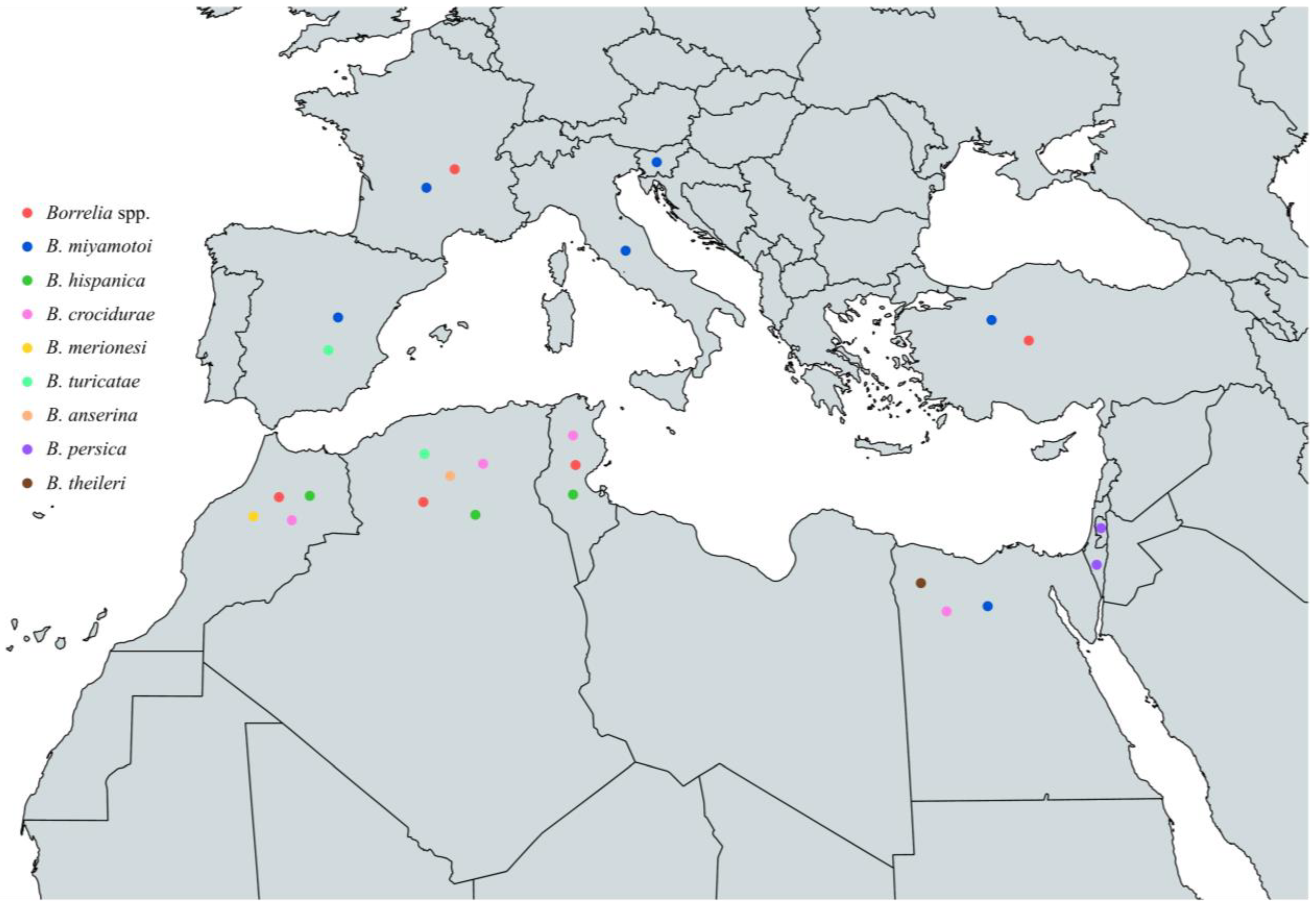 Pathogens 13 00512 g009