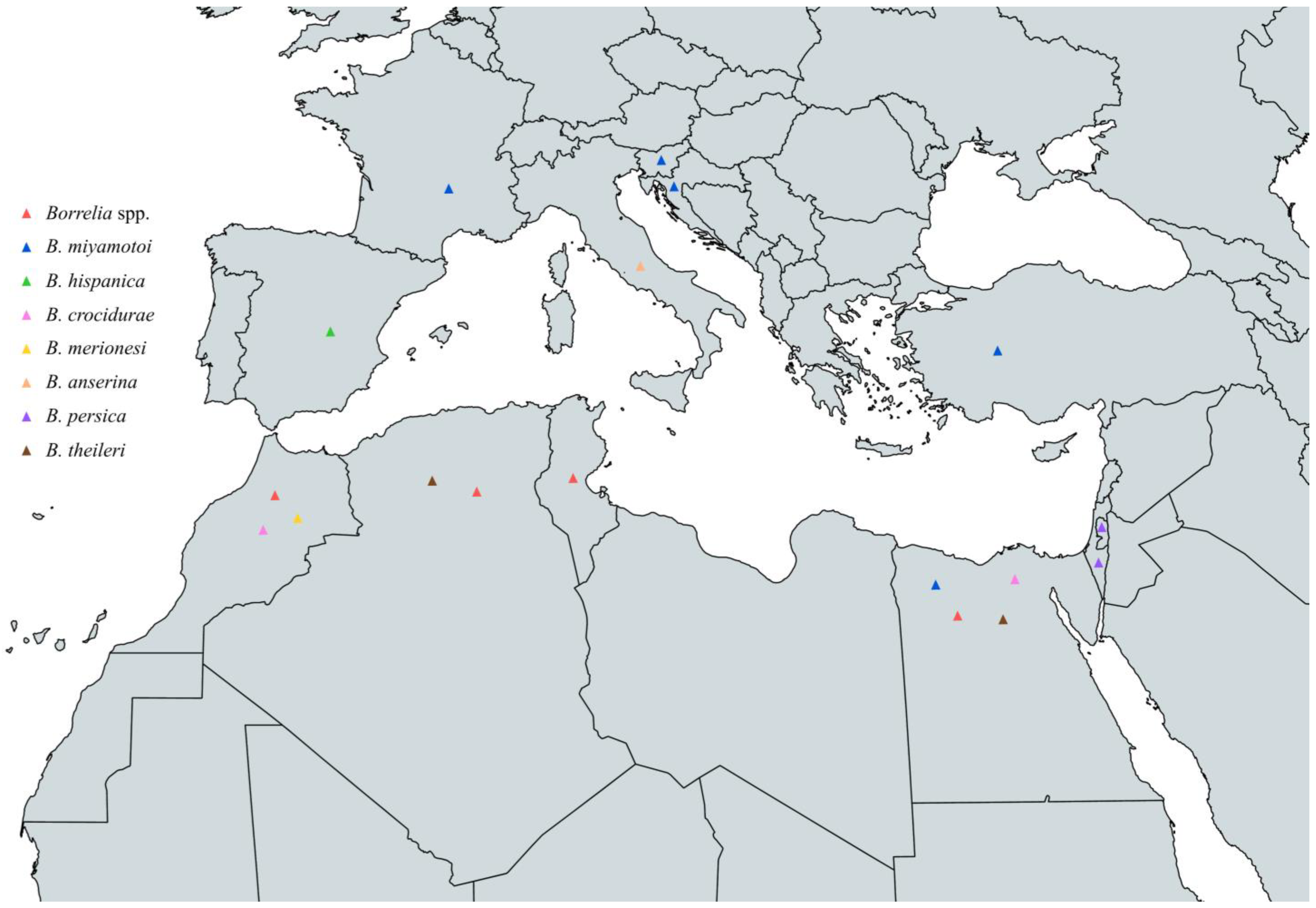 Pathogens 13 00512 g010
