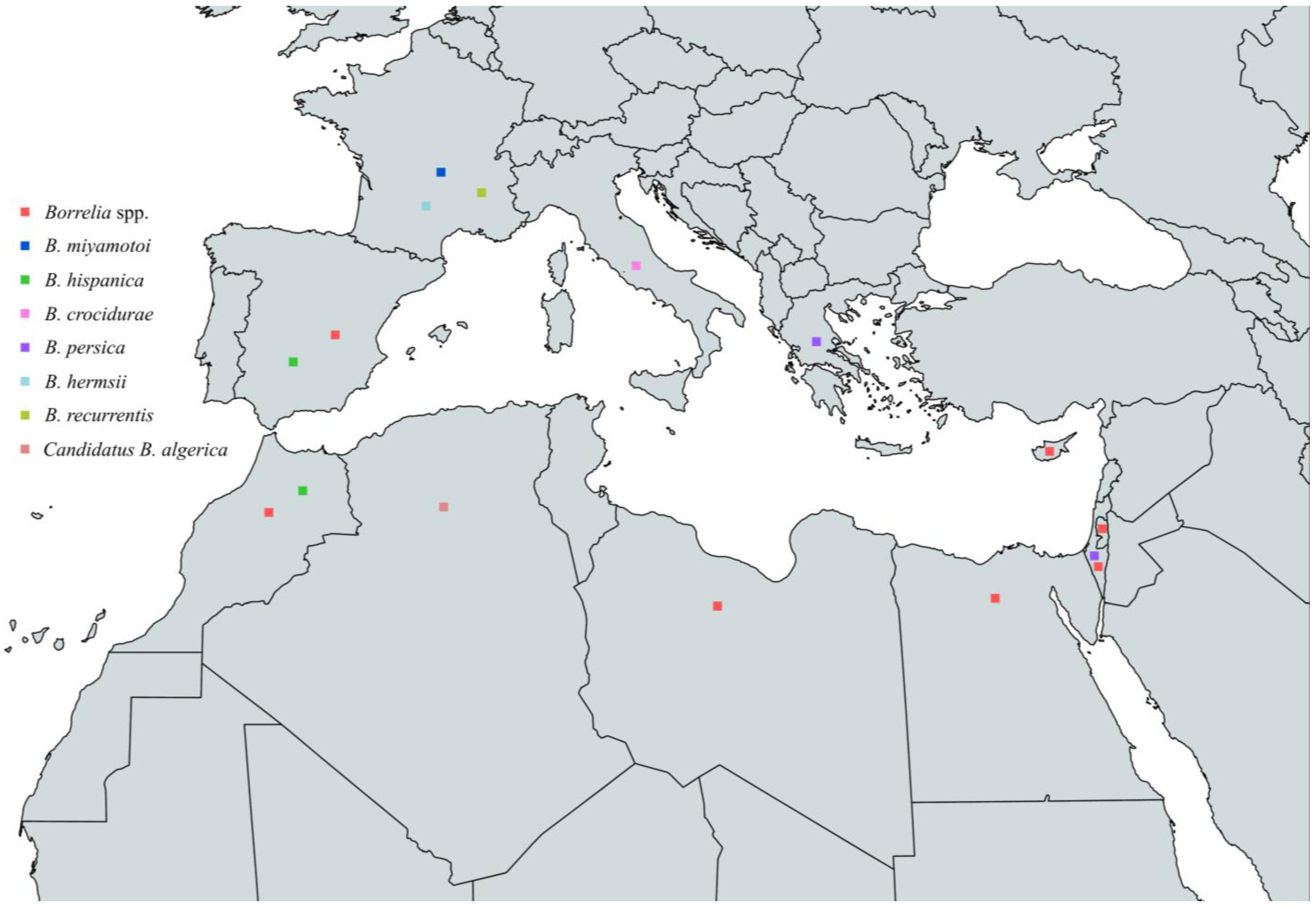 Pathogens 13 00512 g011