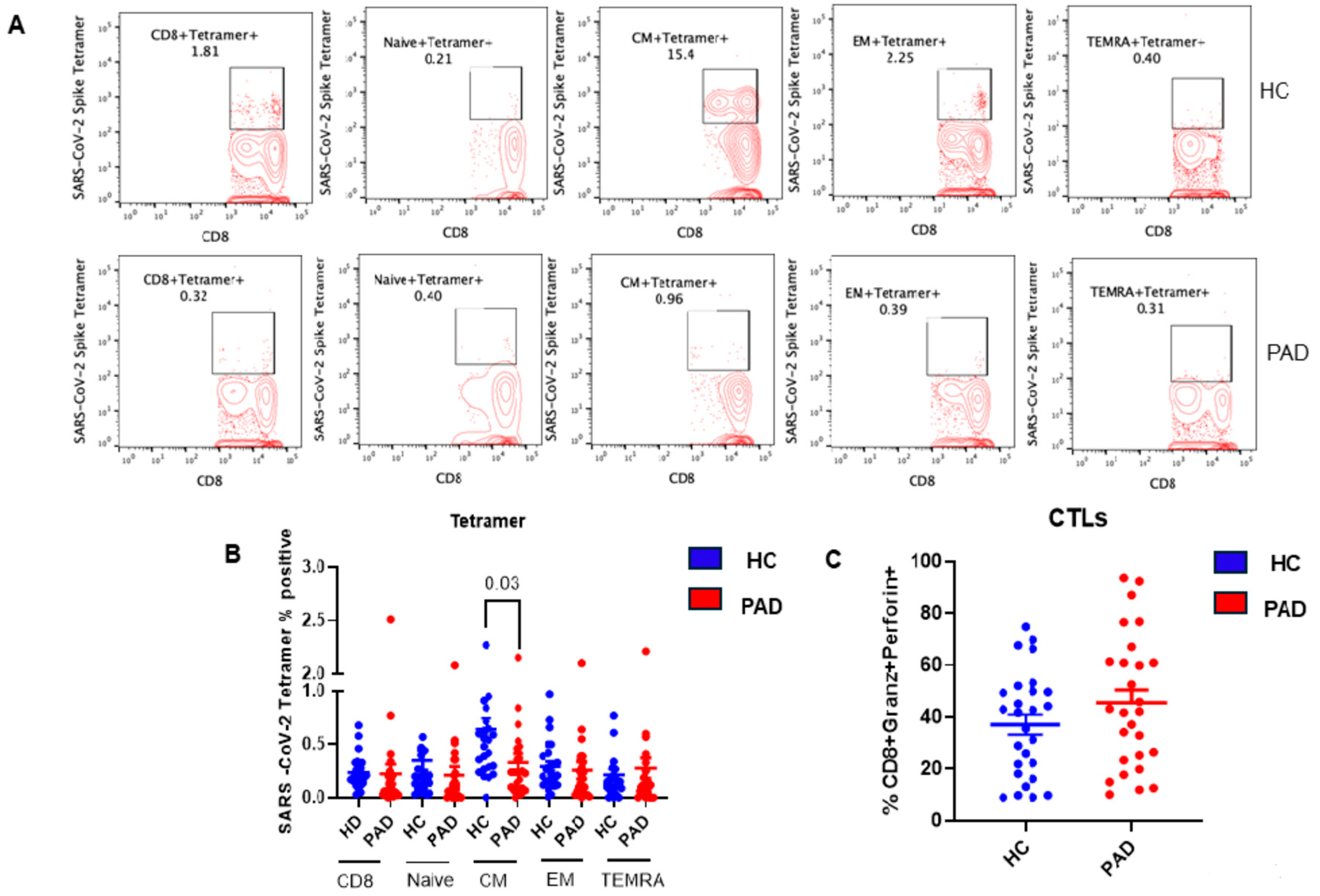 Pathogens 13 00514 g006