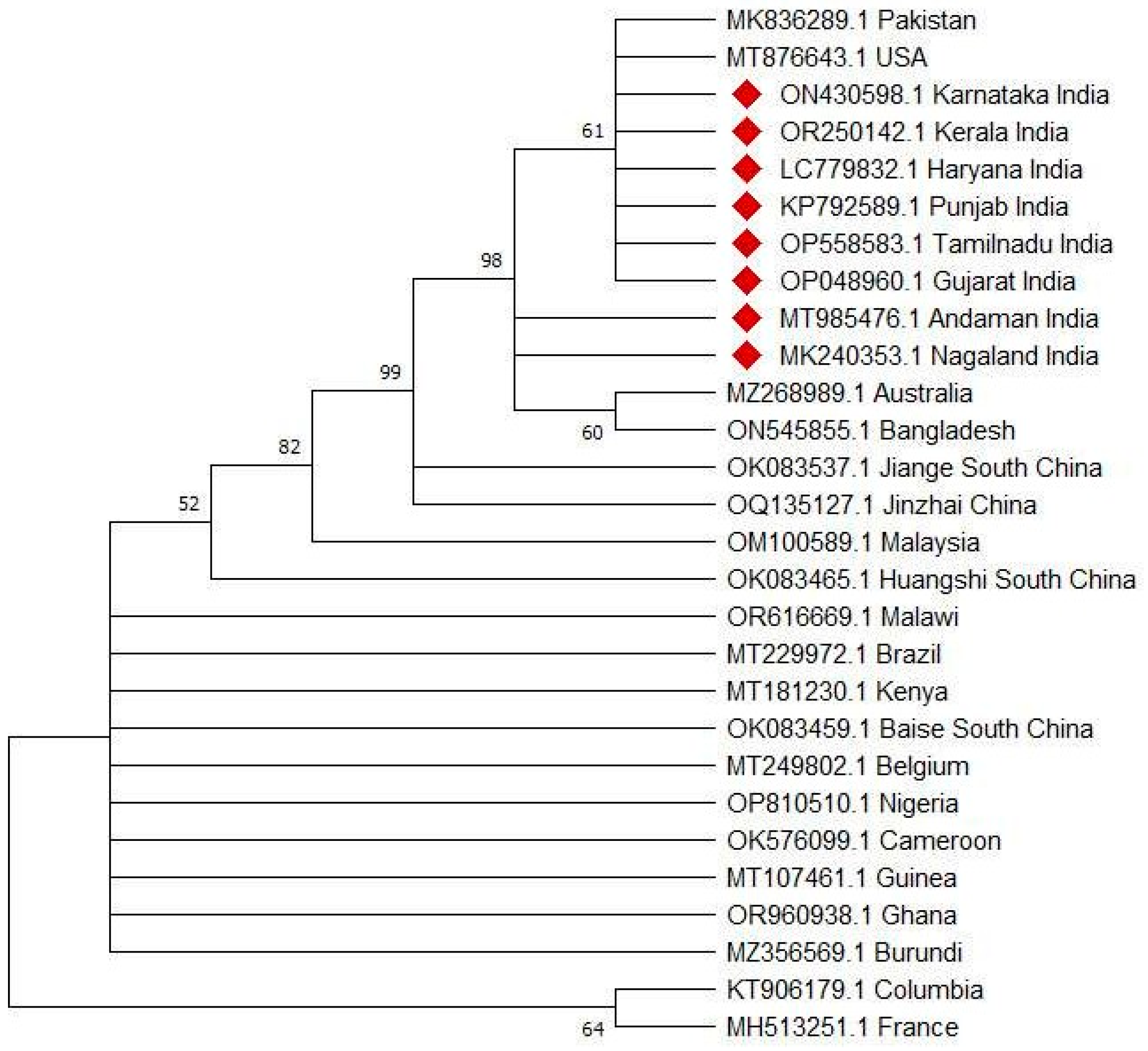 Pathogens 13 00516 g001