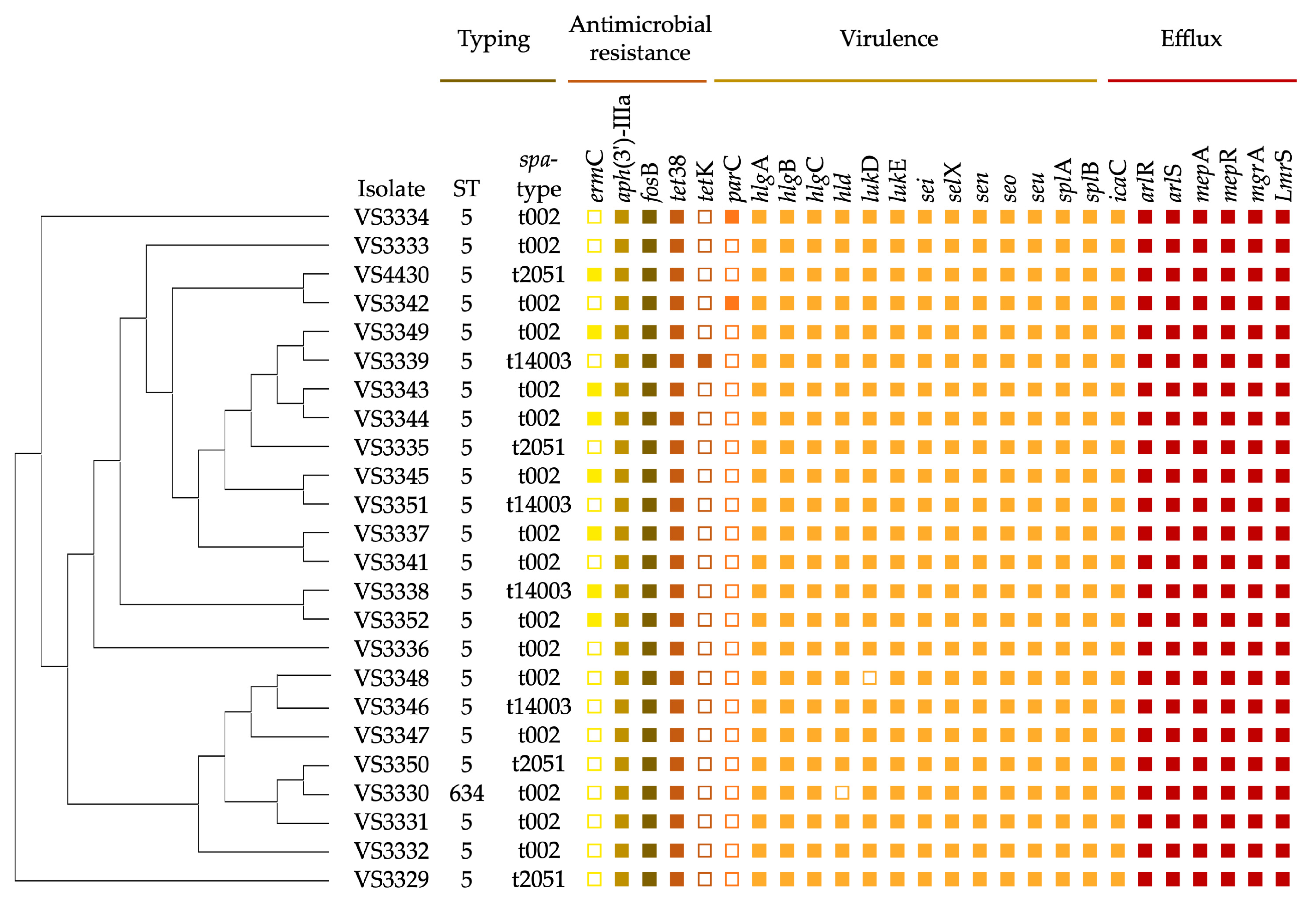 Pathogens 13 00519 g001