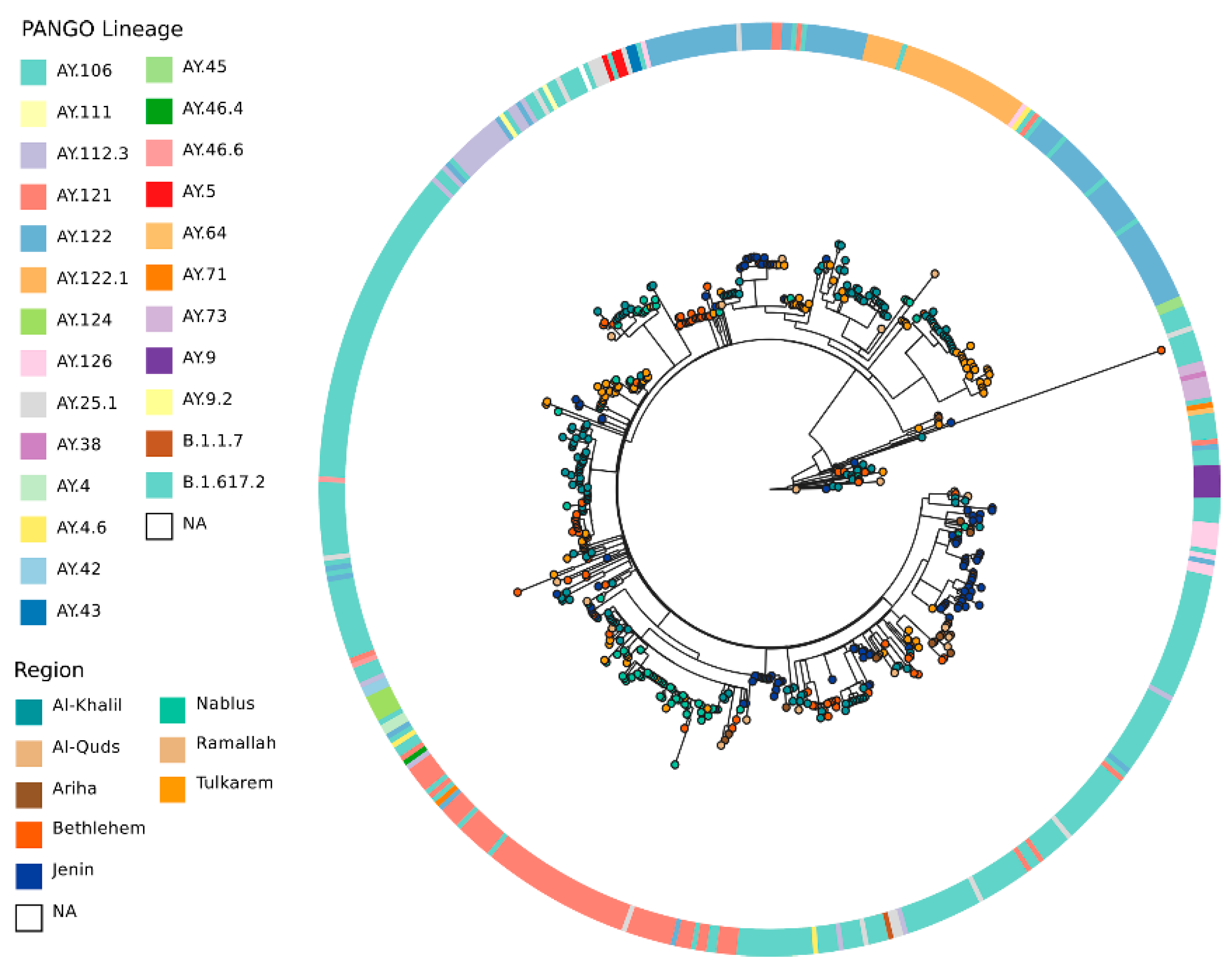 Pathogens 13 00521 g002