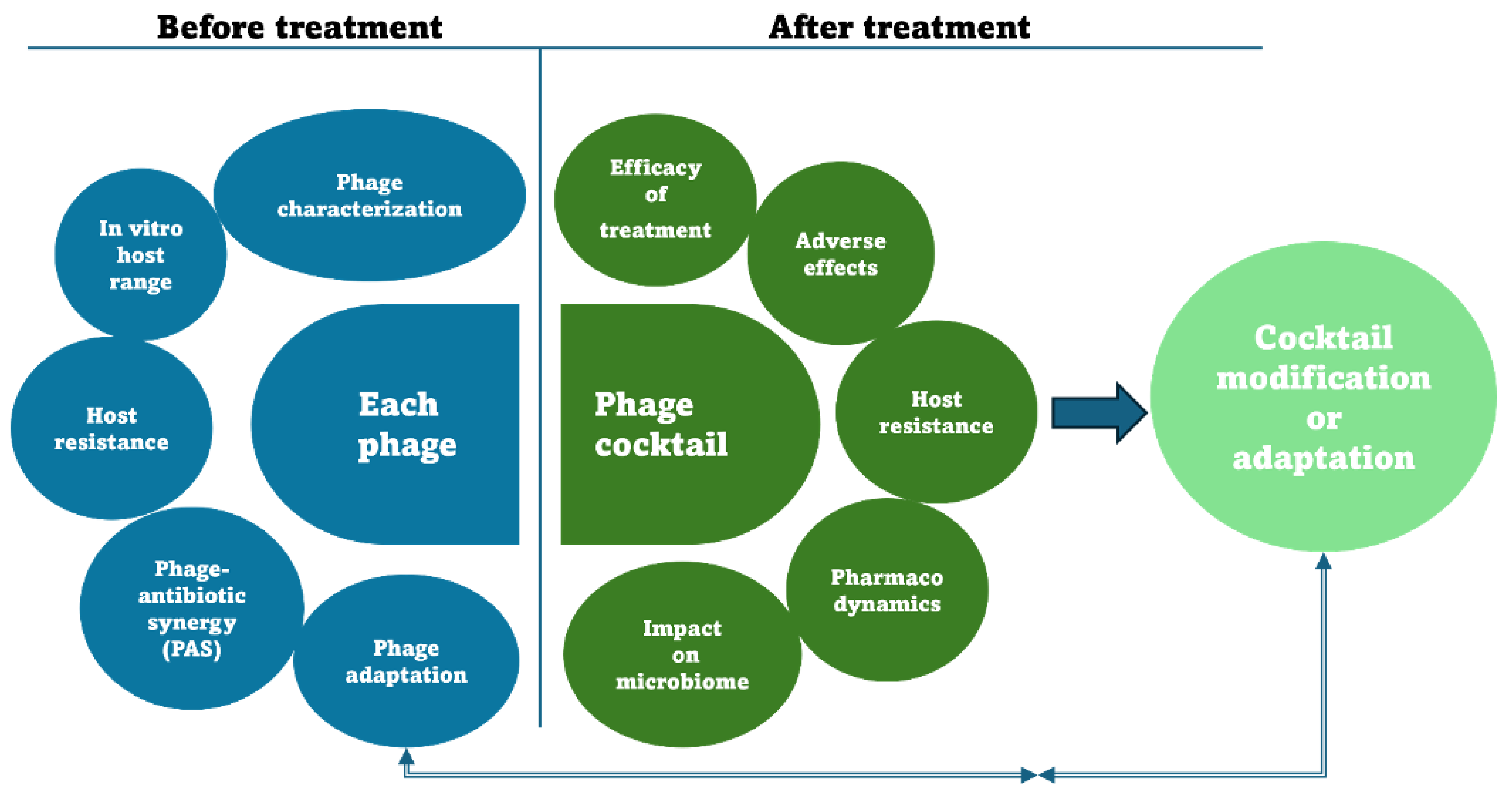 Pathogens 13 00522 g001 Pathogens 13 00522 g001