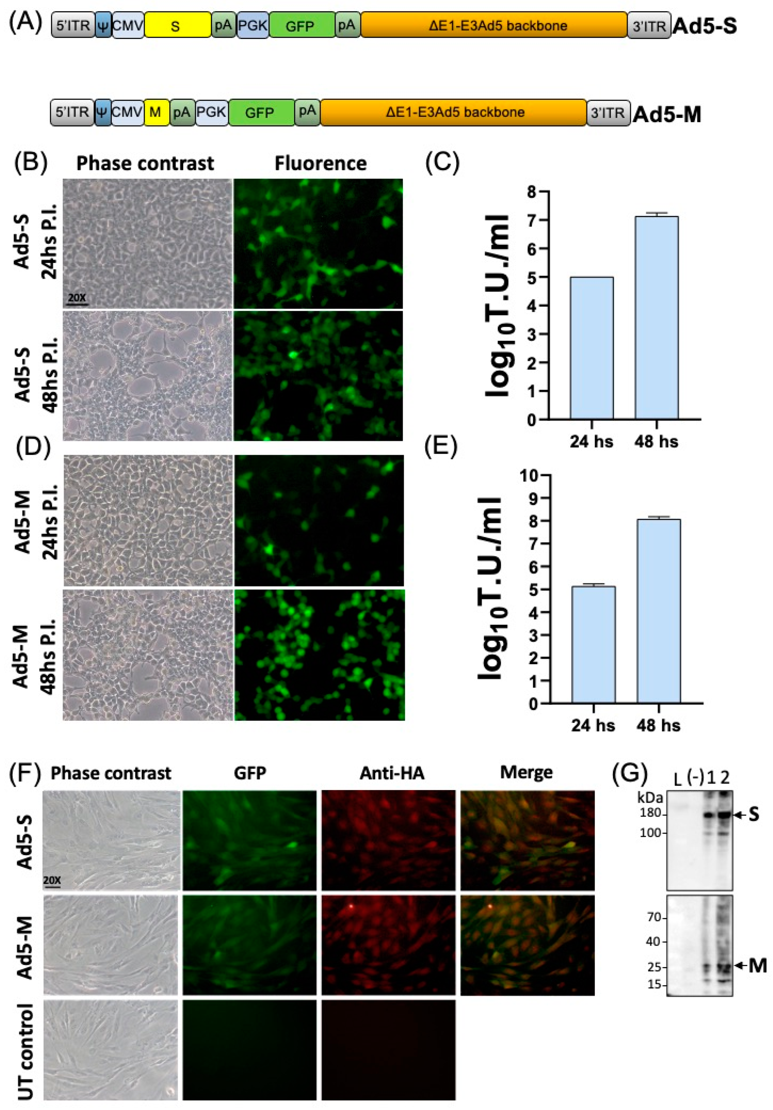 Pathogens 13 00523 g001