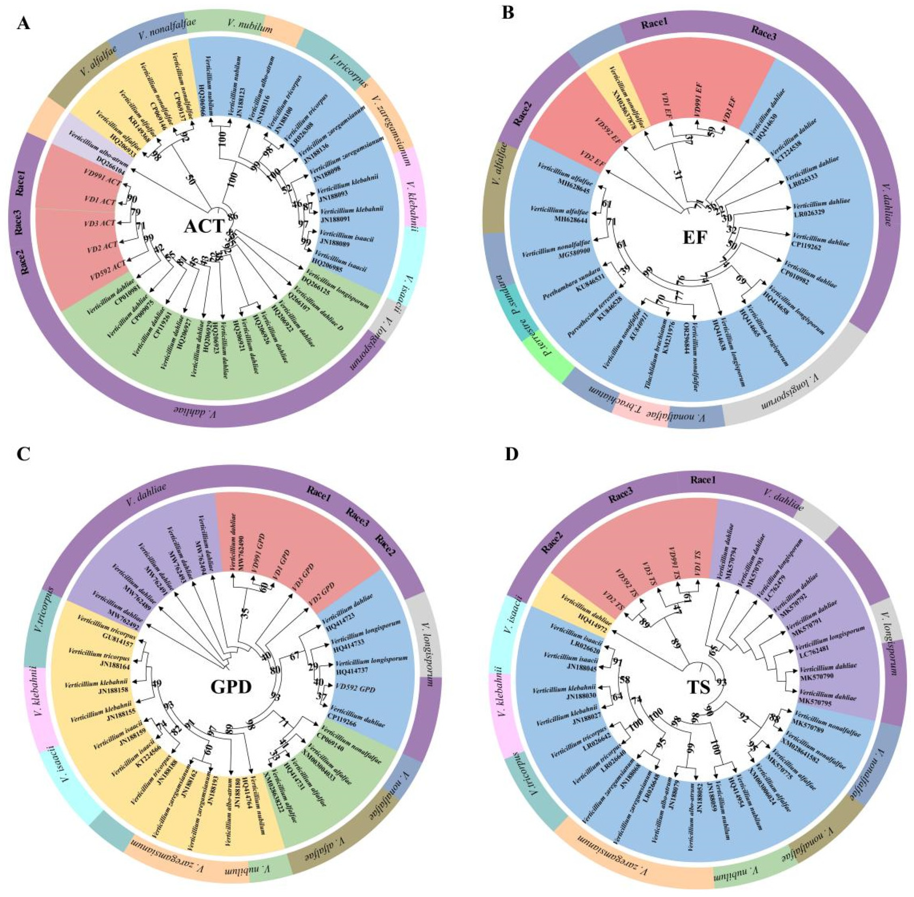 Pathogens 13 00525 g003