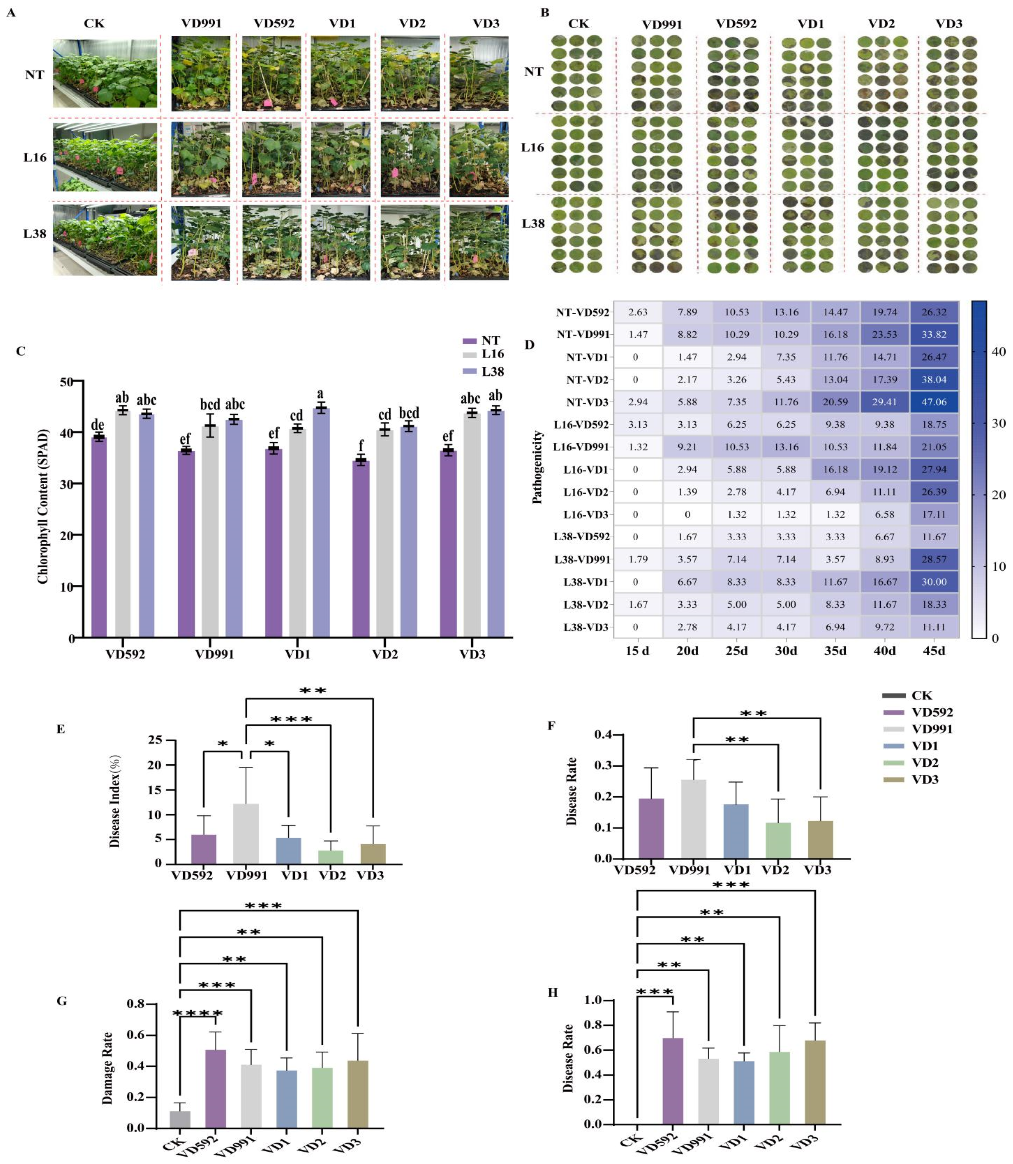Pathogens 13 00525 g006