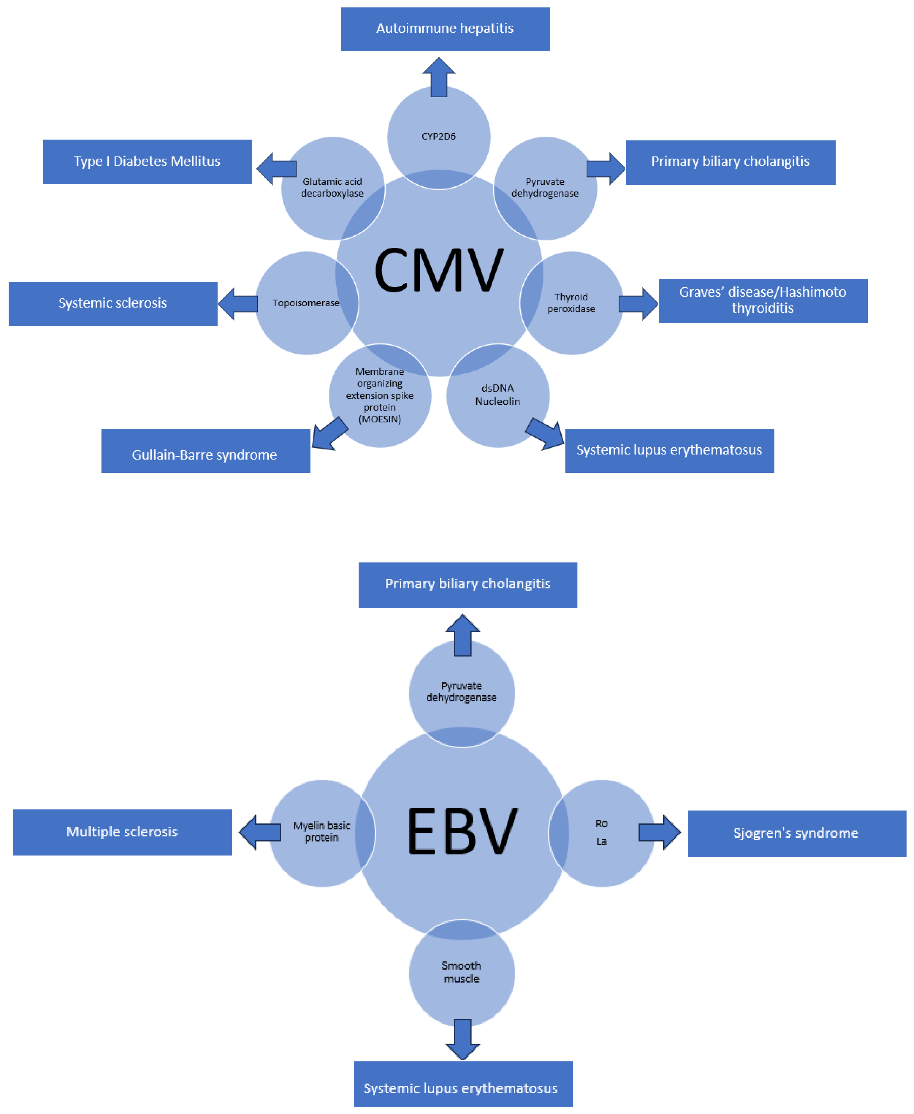 Pathogens 13 00527 g002