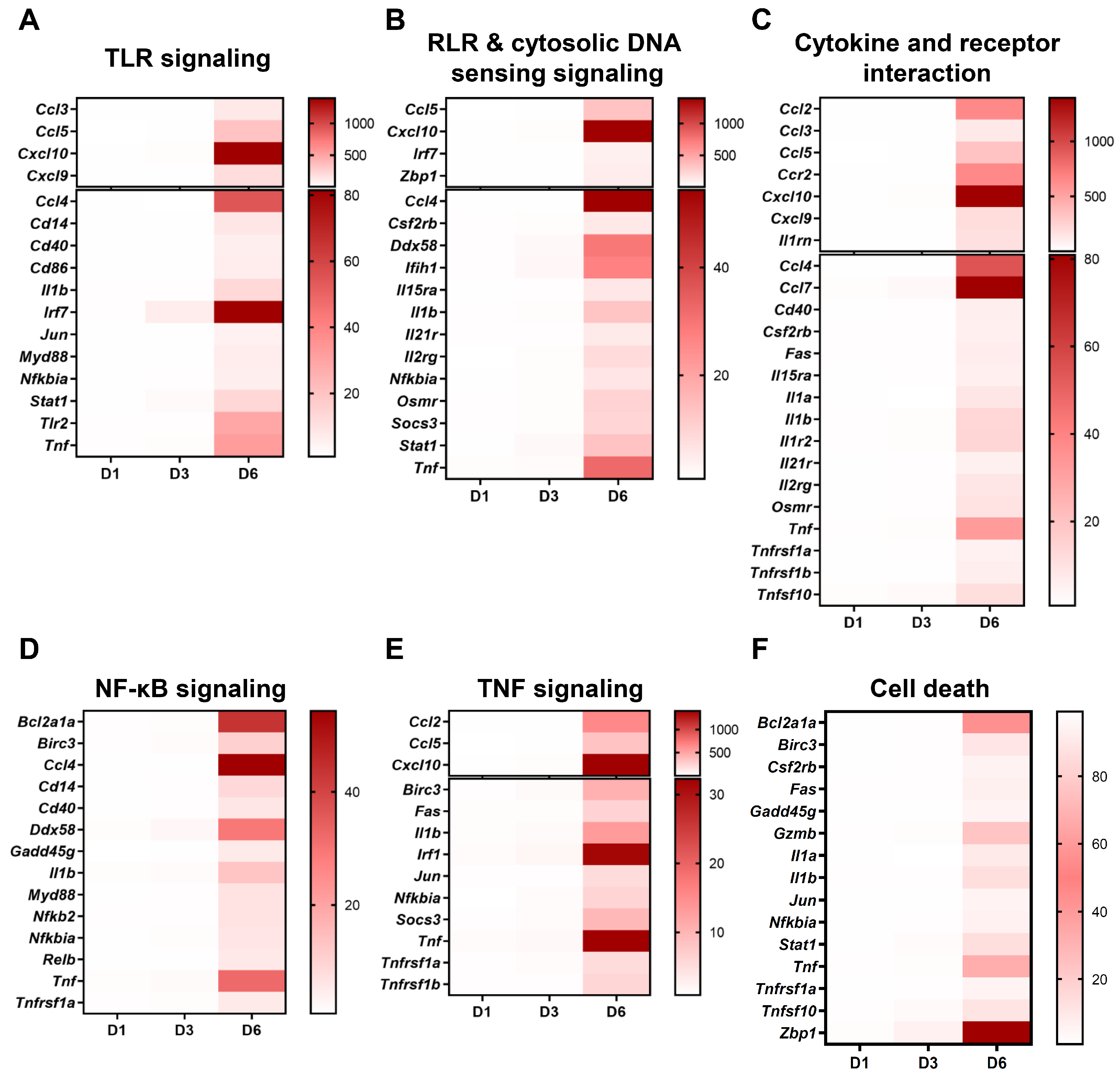 Pathogens 13 00528 g002