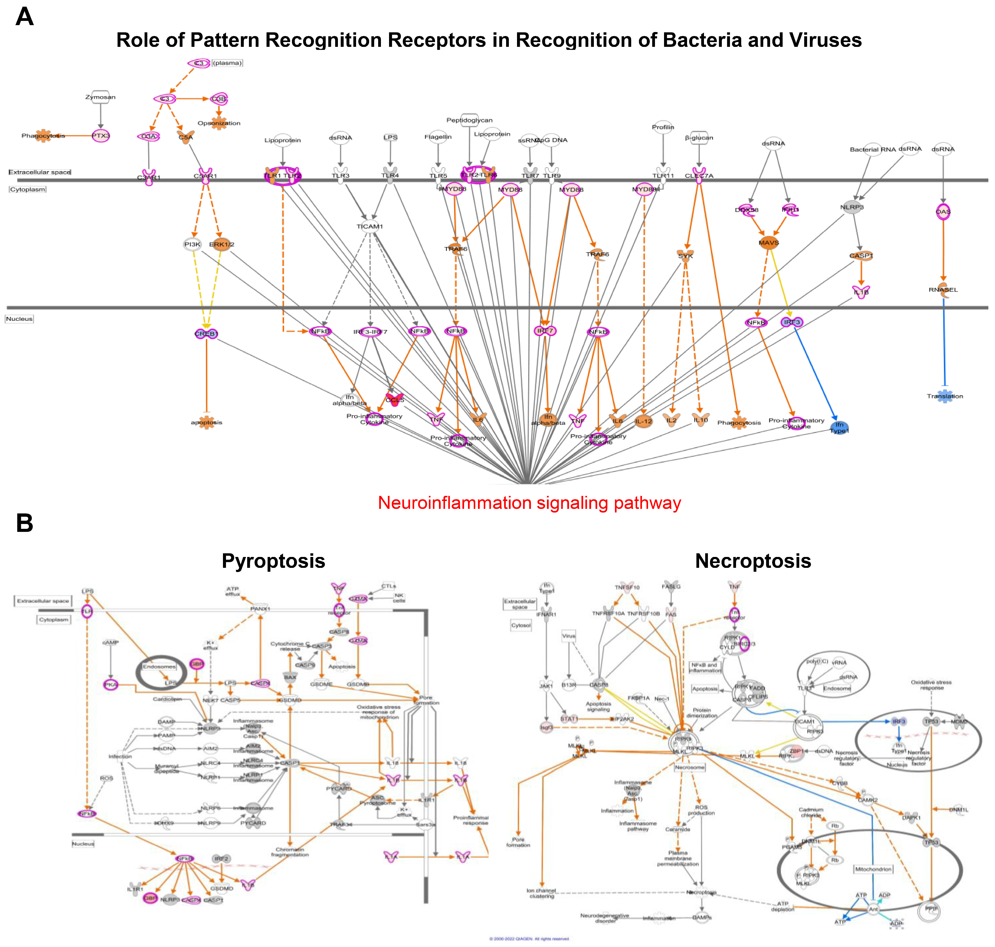 Pathogens 13 00528 g006