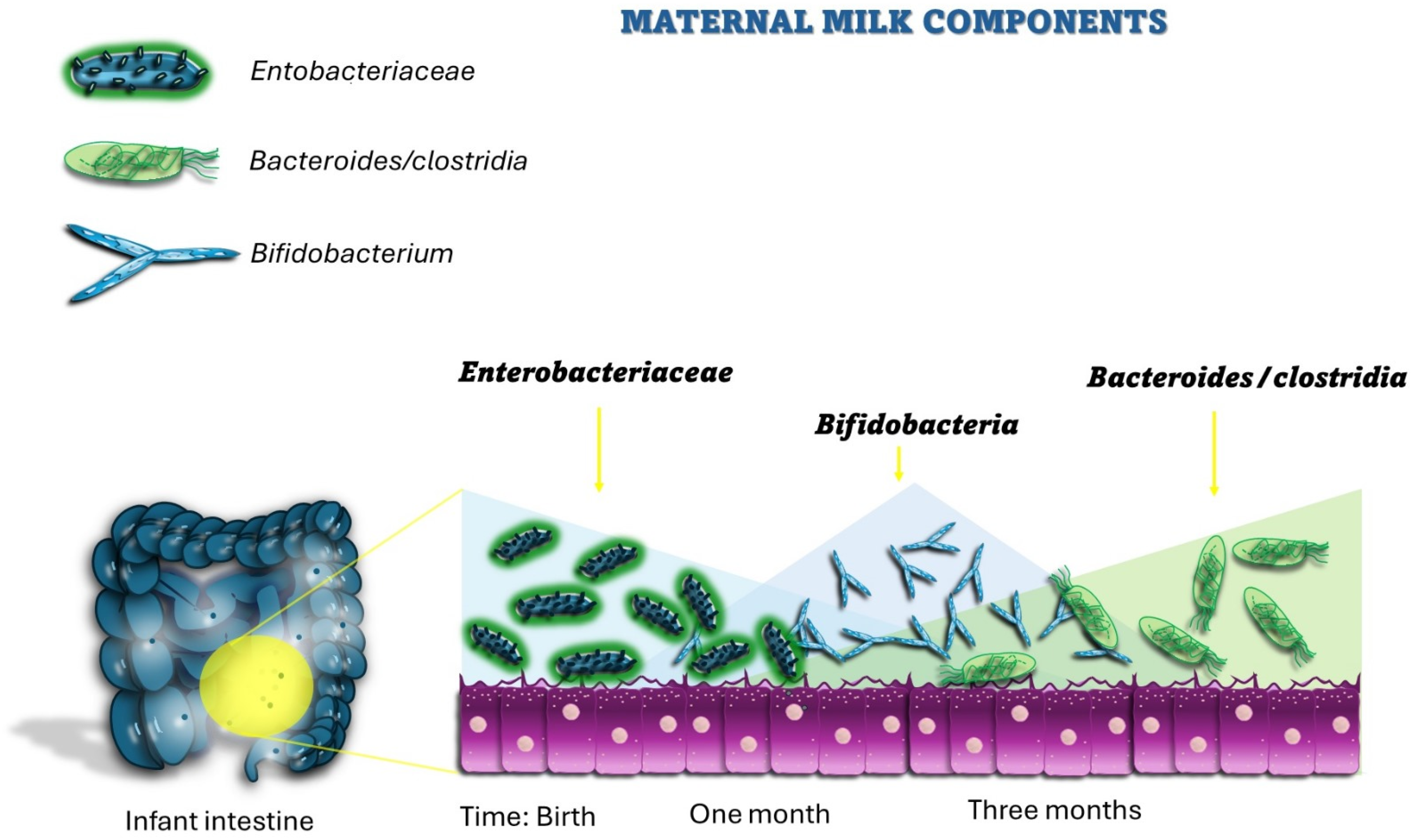 Pathogens 13 00533 g001 Pathogens 13 00533 g001