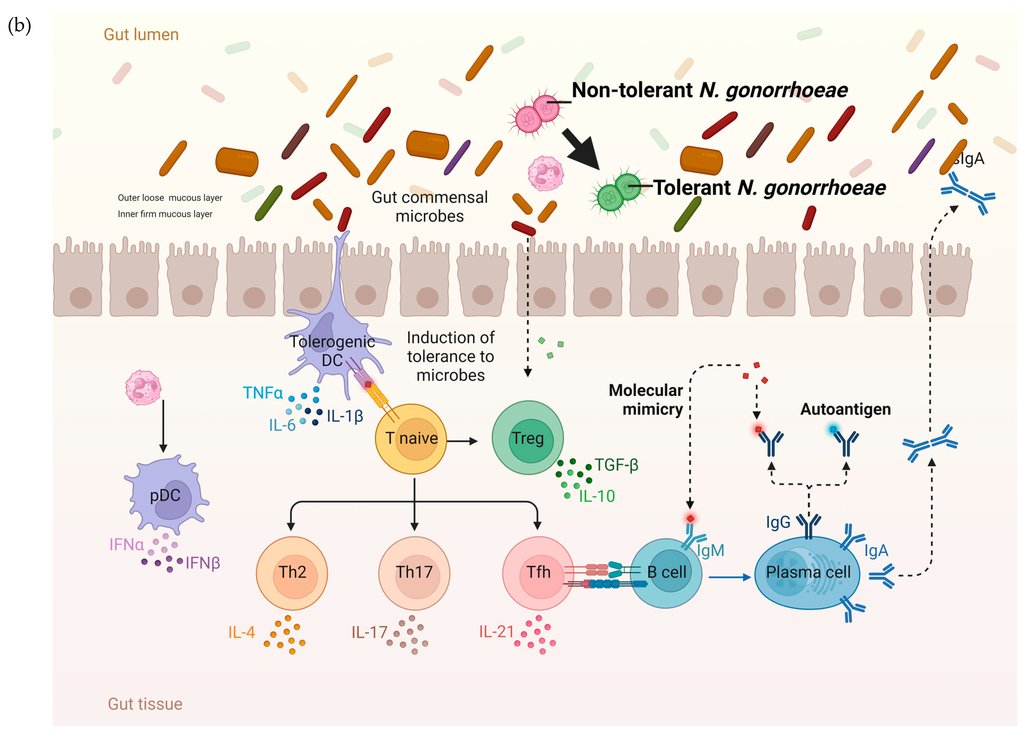 Pathogens 13 00538 g004b