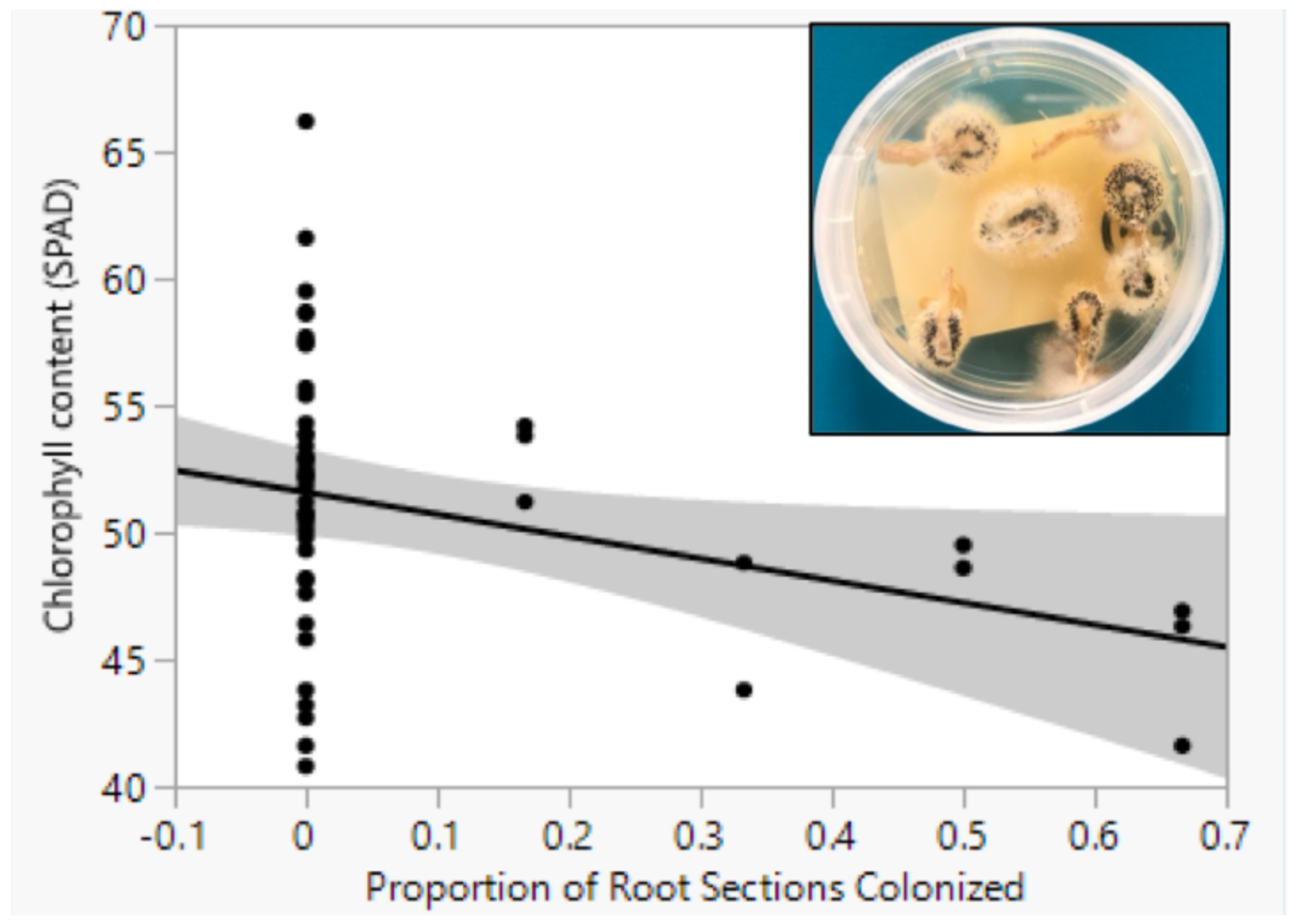Pathogens 13 00544 g001