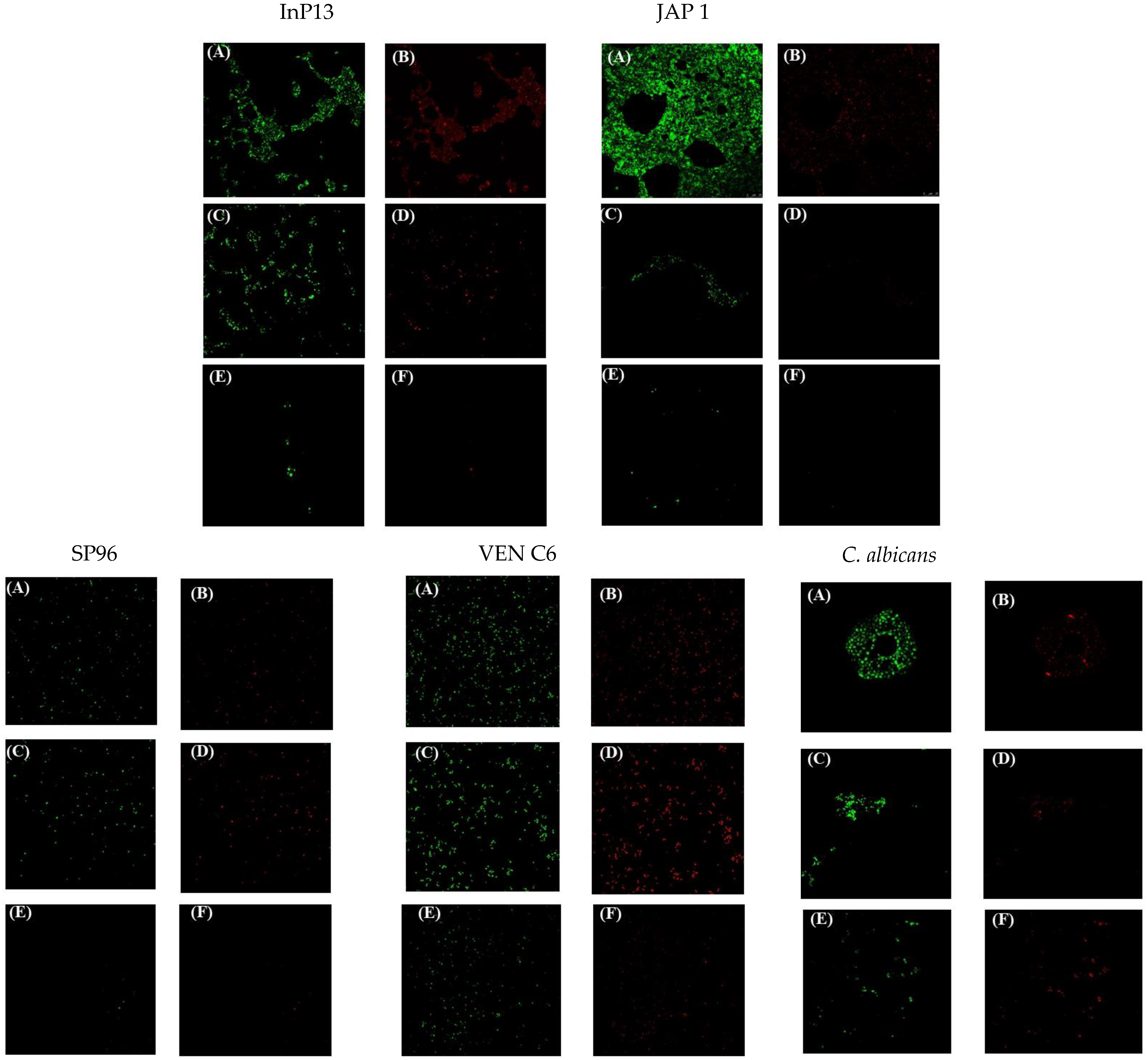 Pathogens 13 00549 g003