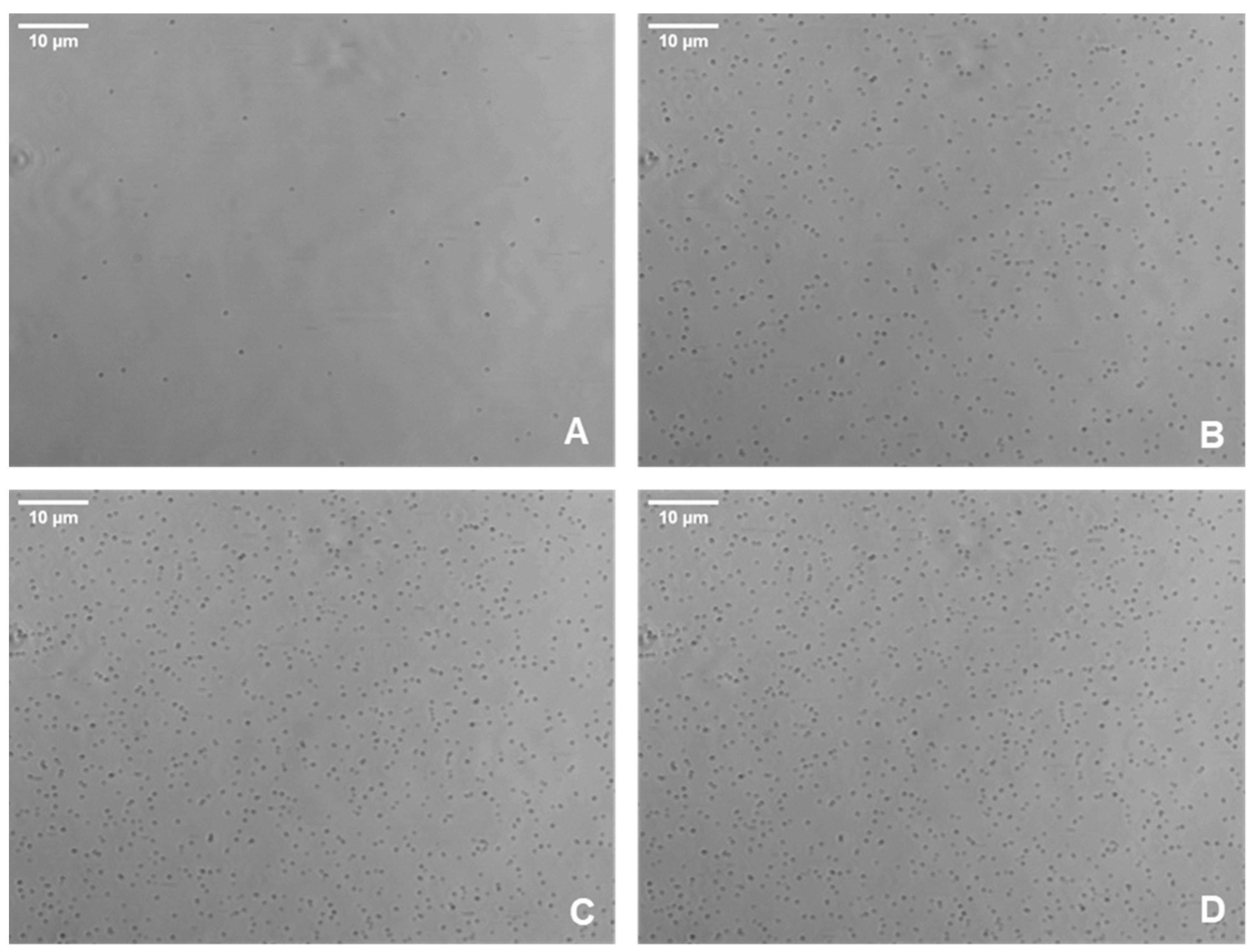 Pathogens 13 00551 g001