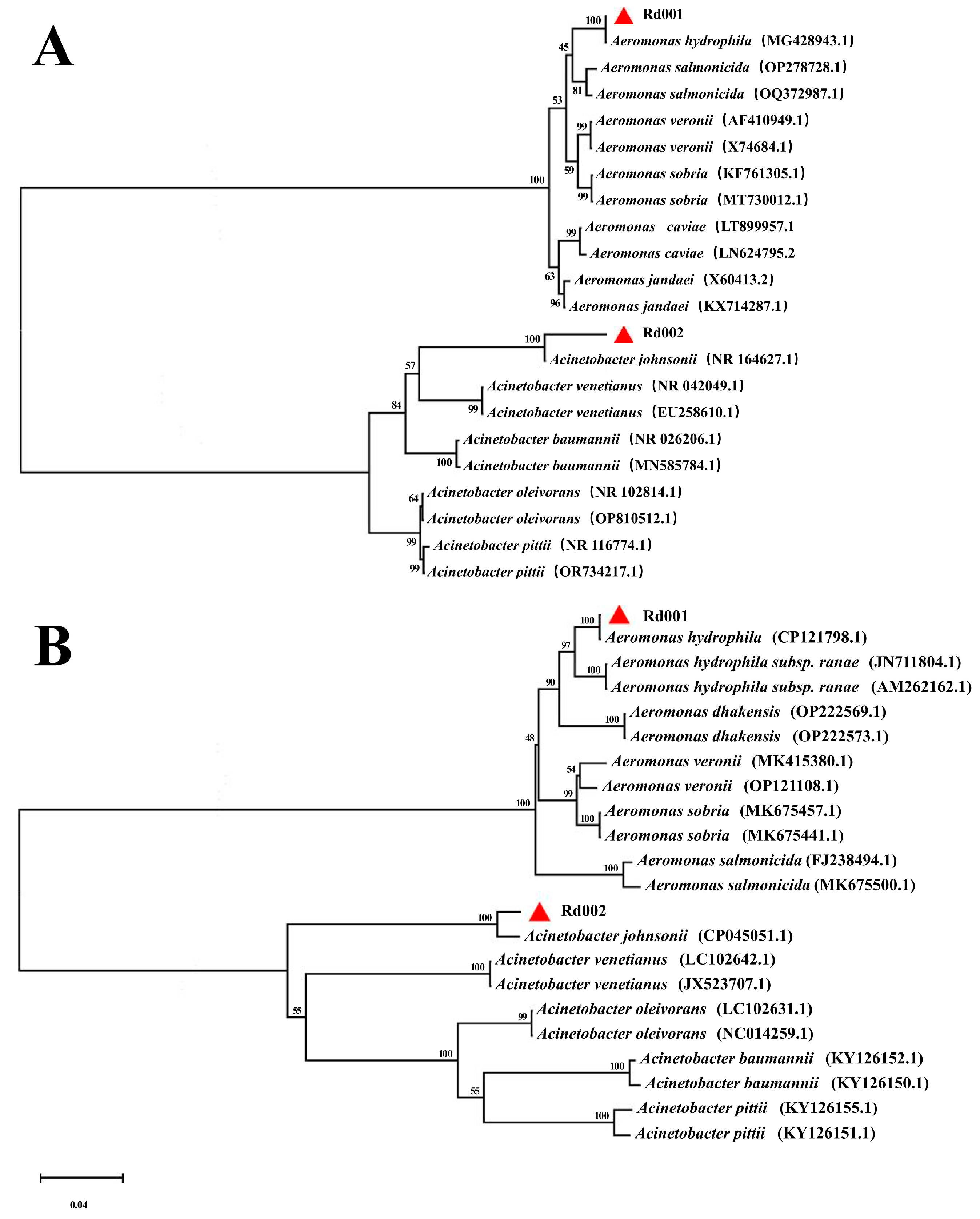 Pathogens 13 00552 g002