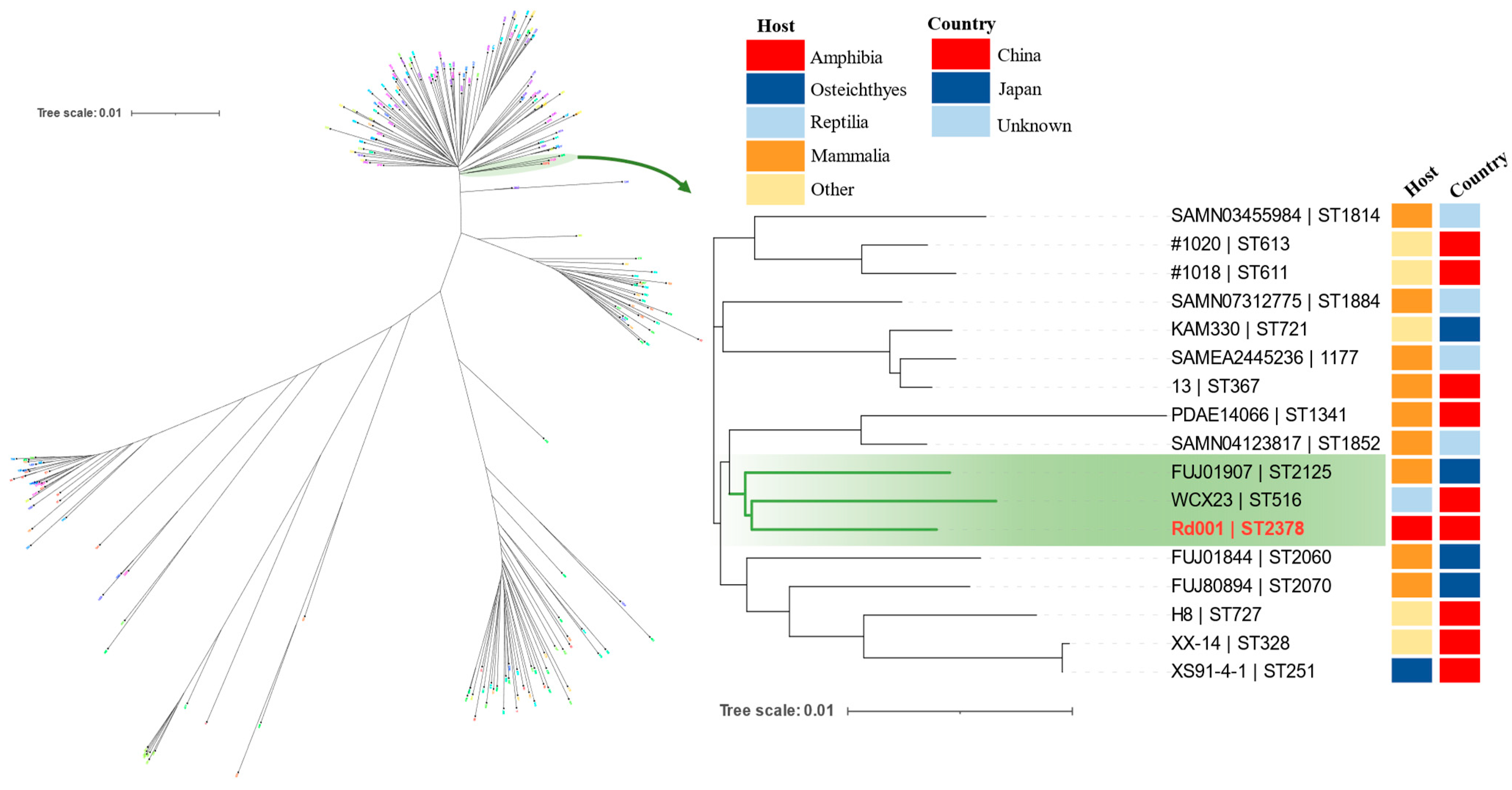 Pathogens 13 00552 g006