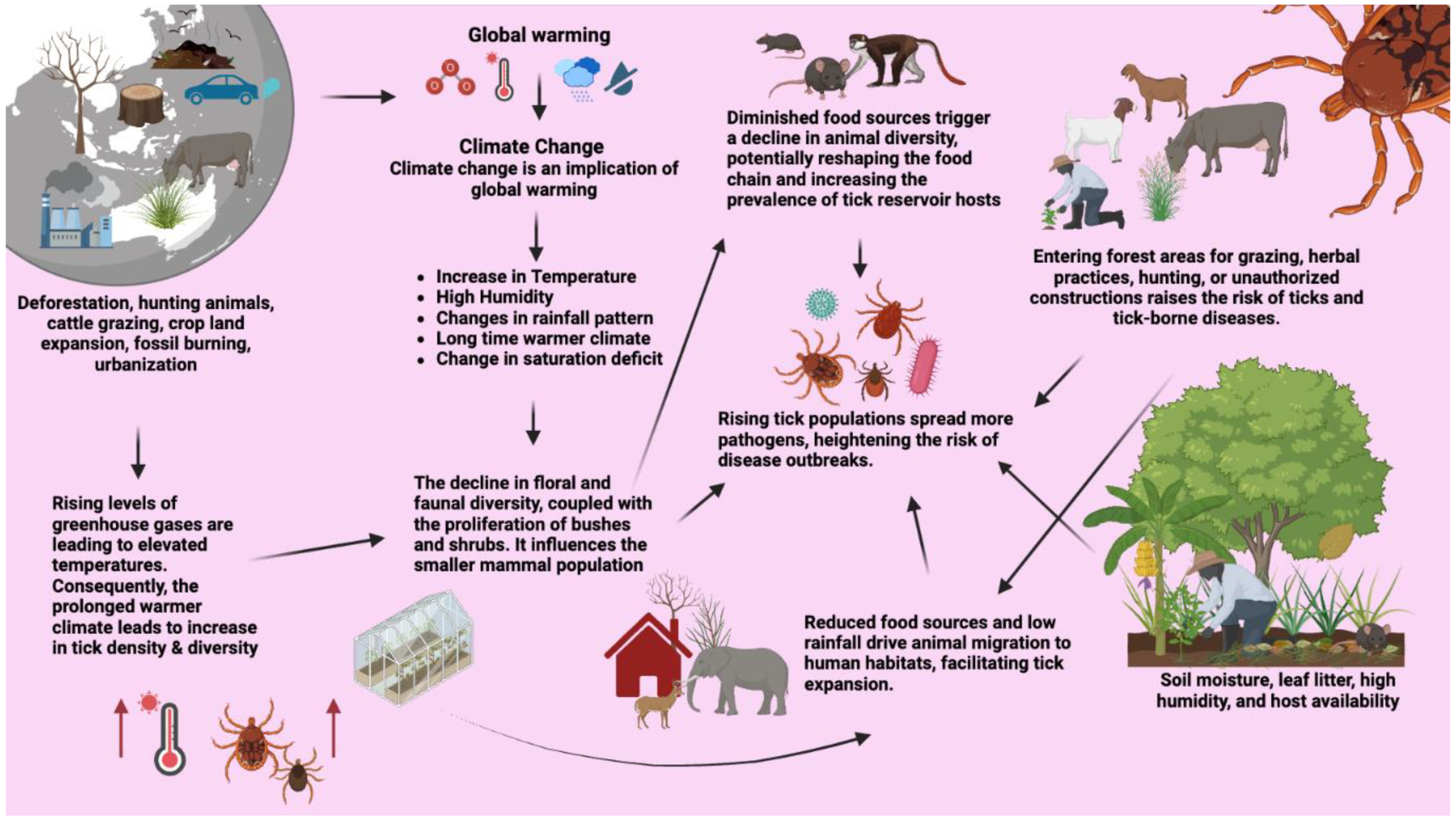 Pathogens 13 00556 g009