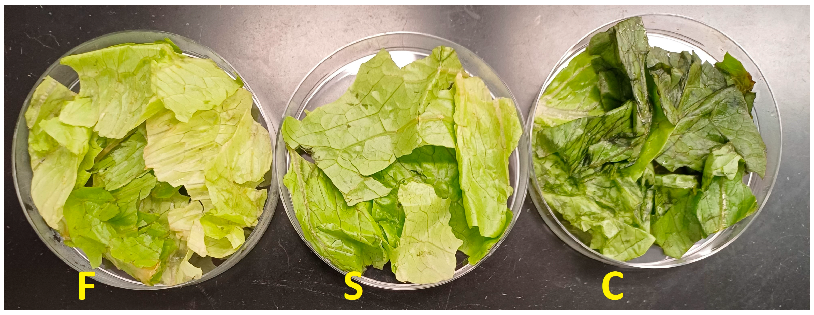 Pathogens 13 00557 g001