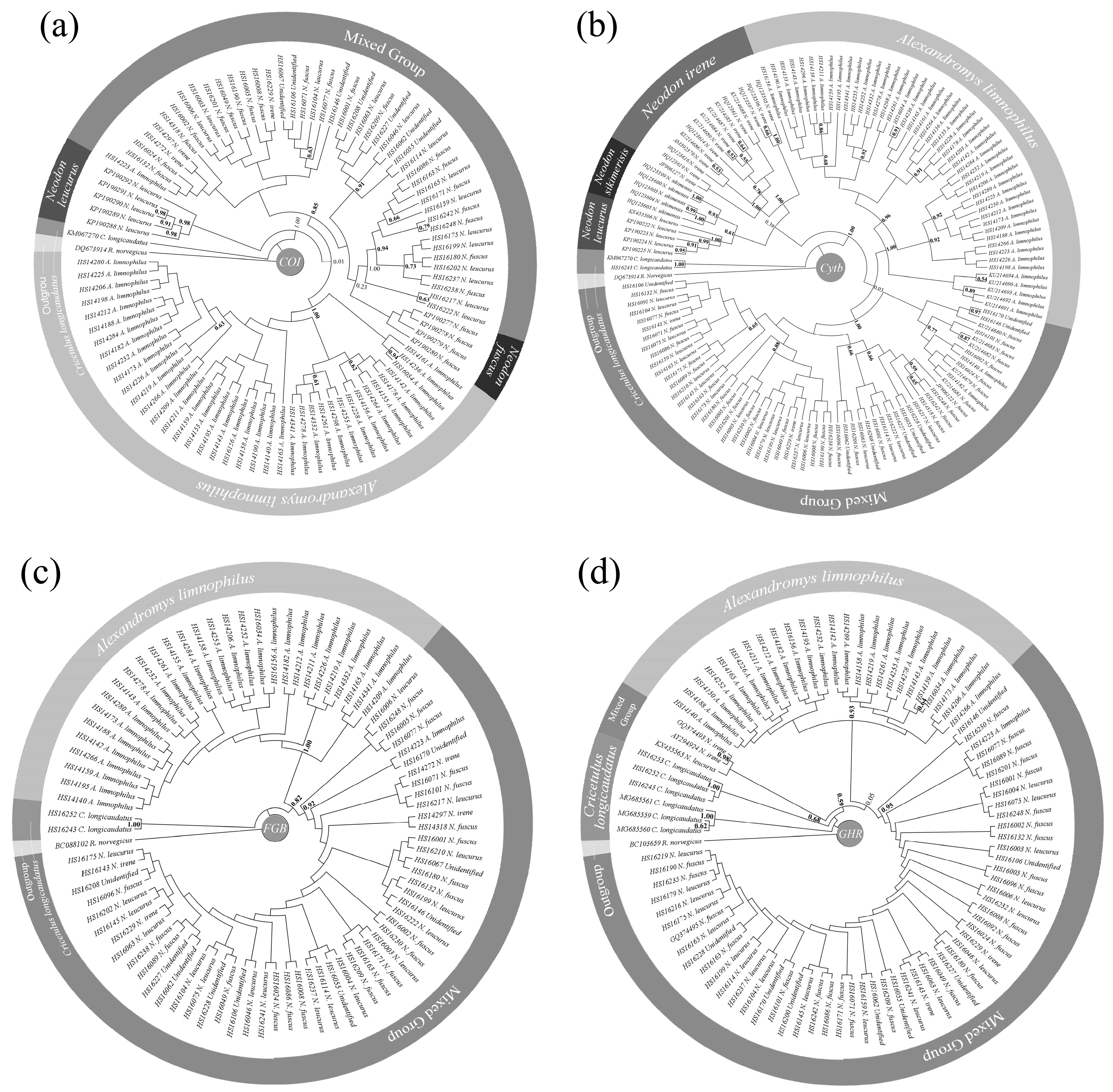 Pathogens 13 00558 g002