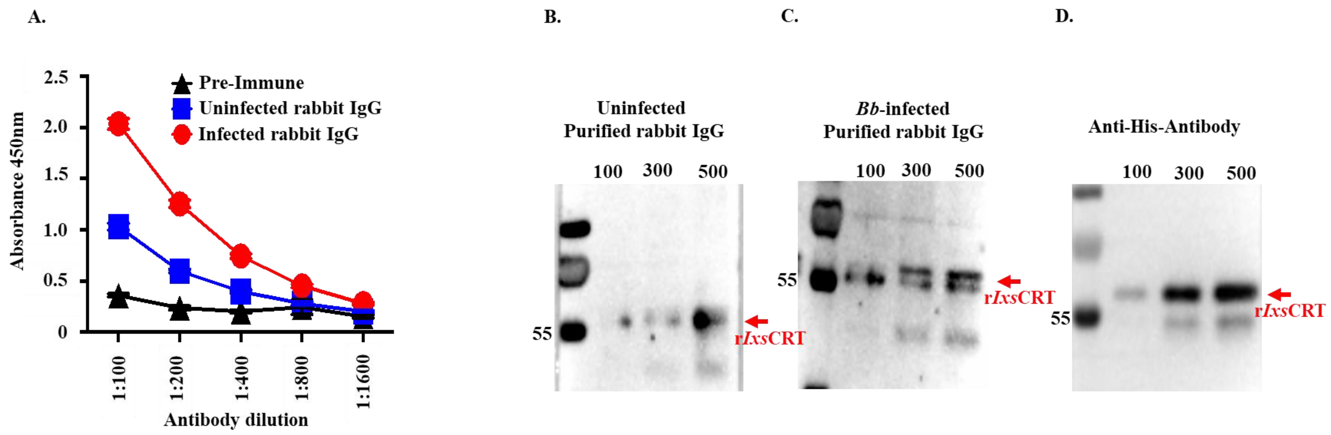 Pathogens 13 00560 g011 Pathogens 13 00560 g011