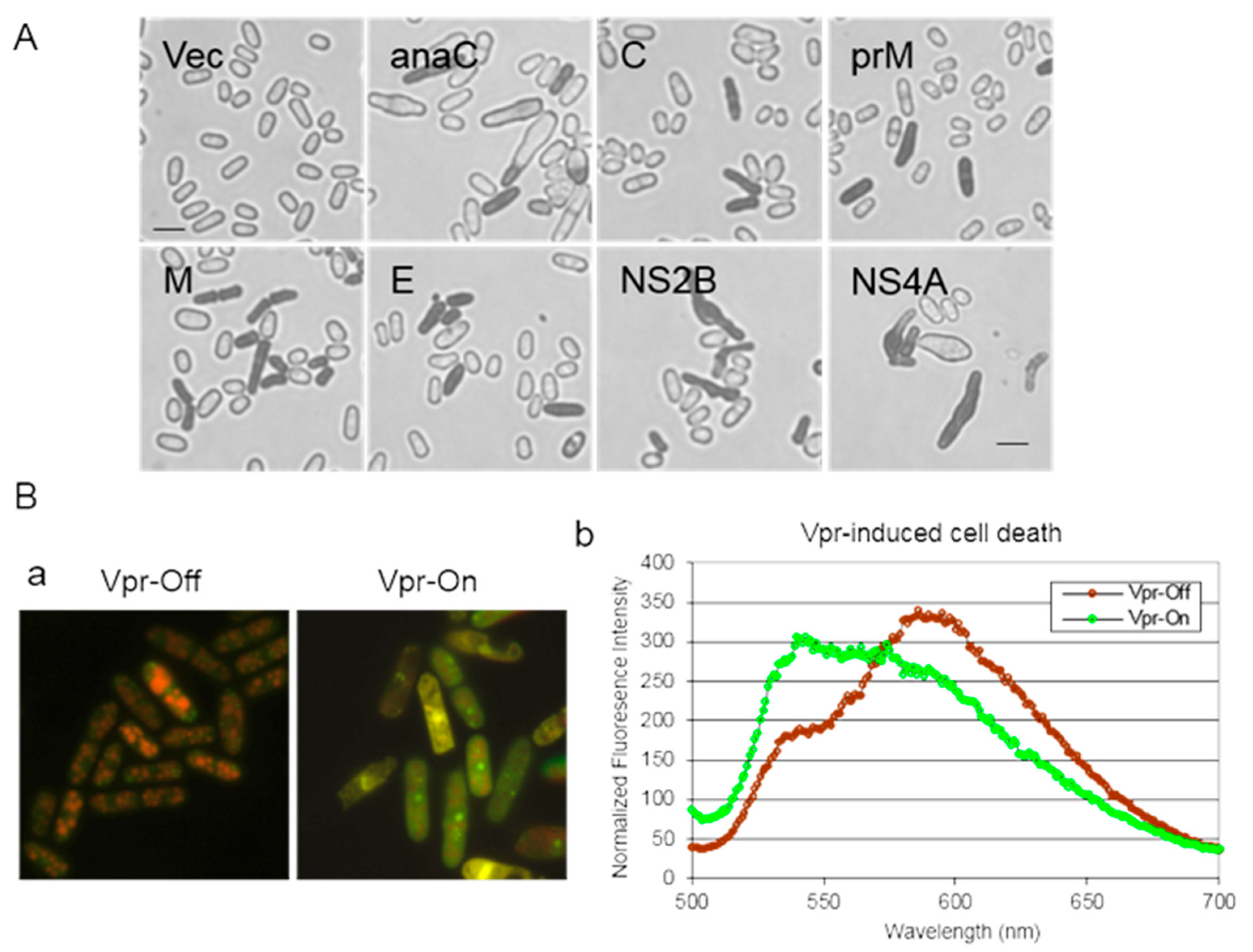 Pathogens 13 00566 g006