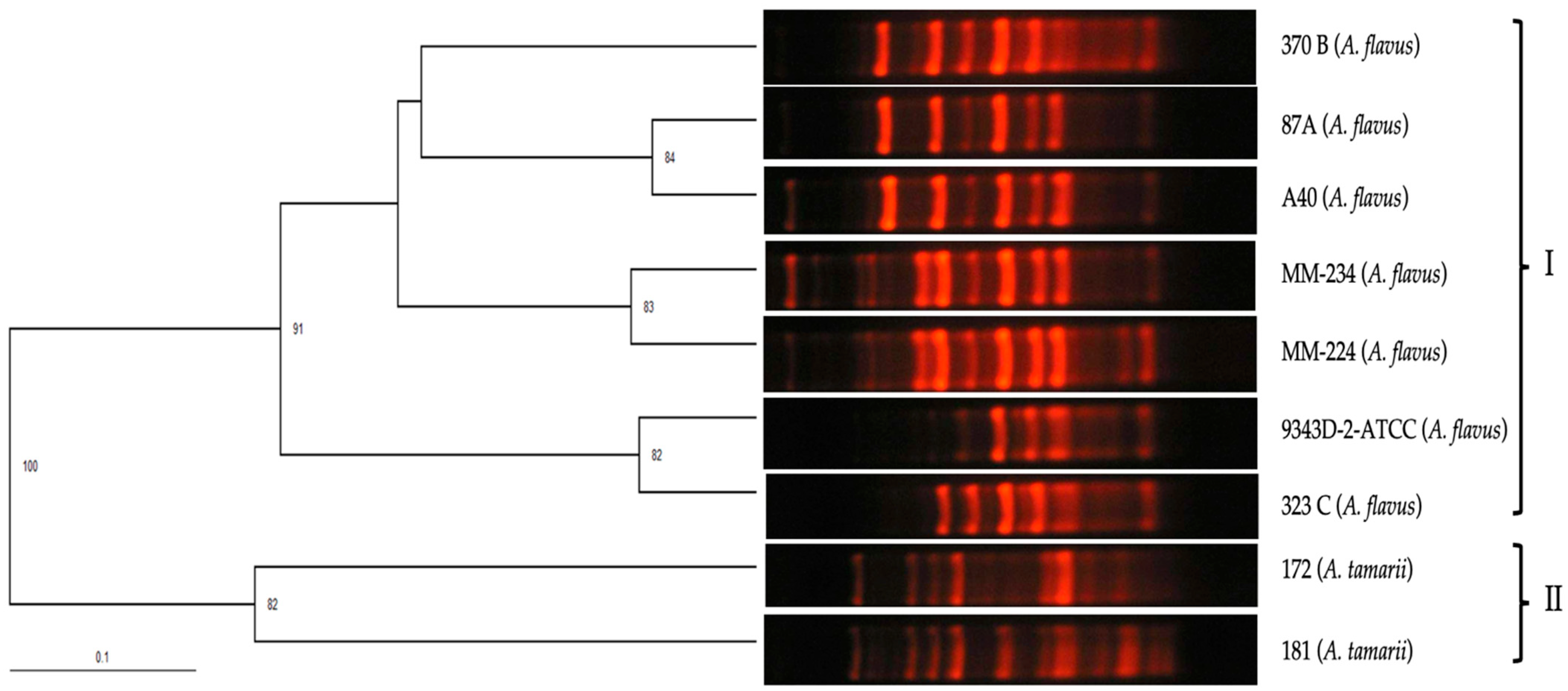 Pathogens 13 00574 g005 Pathogens 13 00574 g005